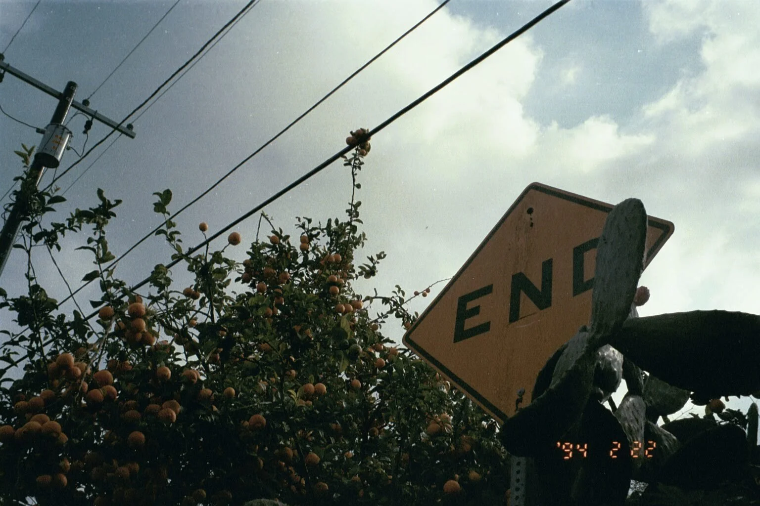 0810_DX-26A1643236536961_Original.jpeg