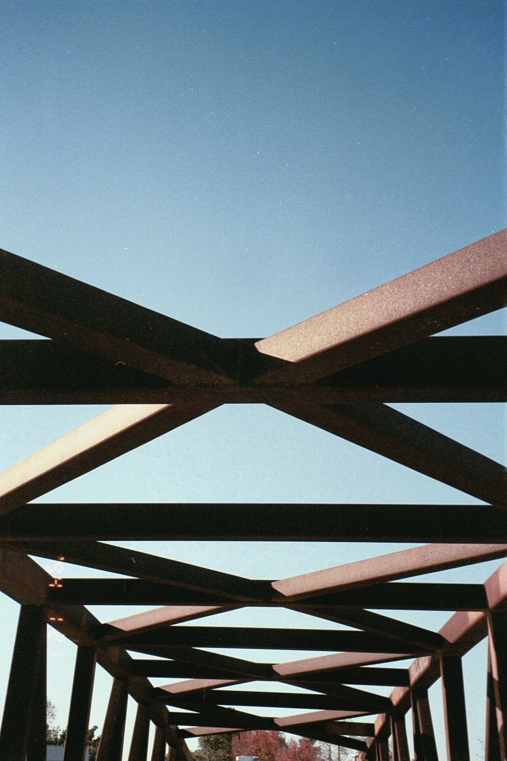 0810_DX-15A1643236536959_Original.jpeg