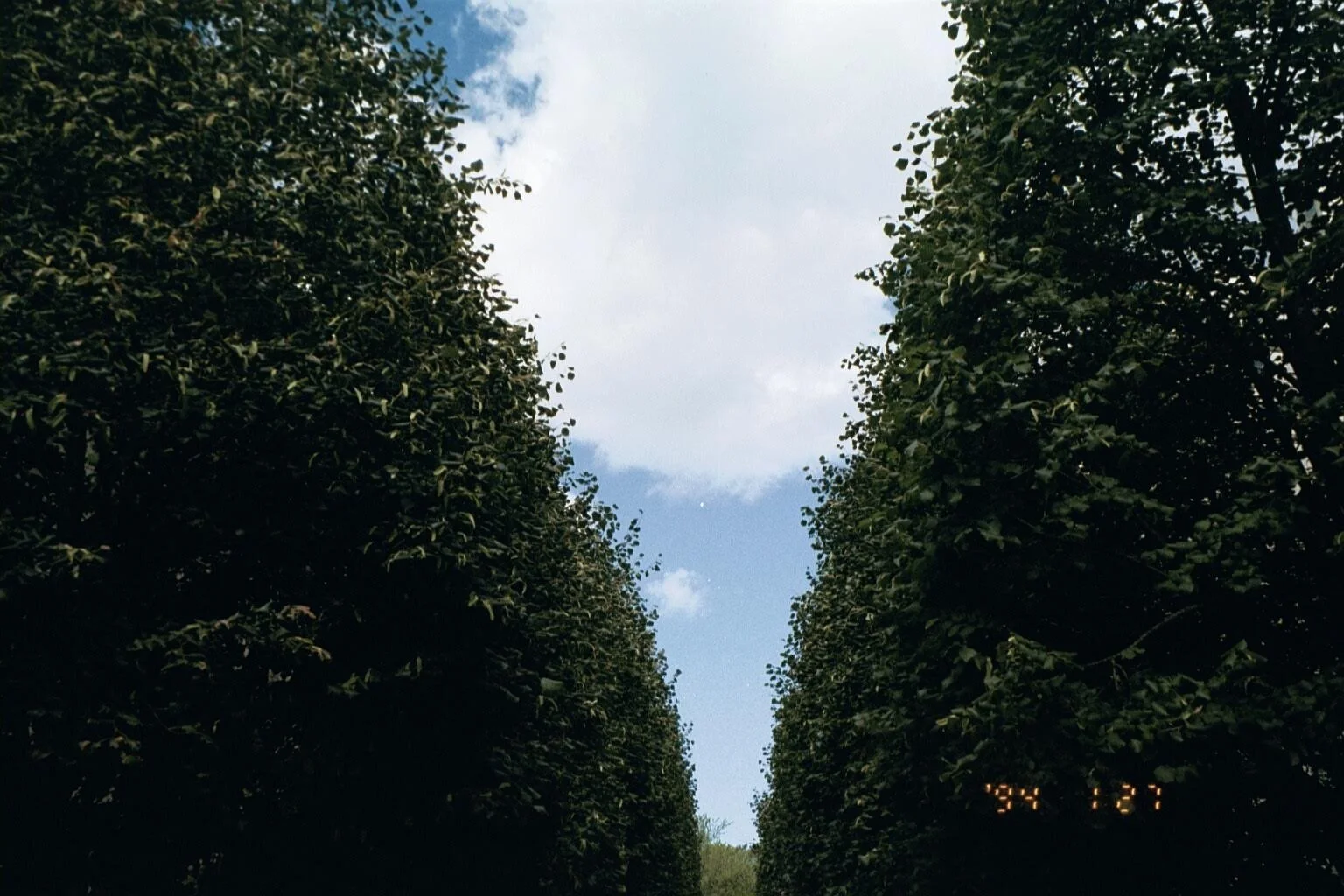 block_0040_DX-20A1631130663020_Original.jpeg
