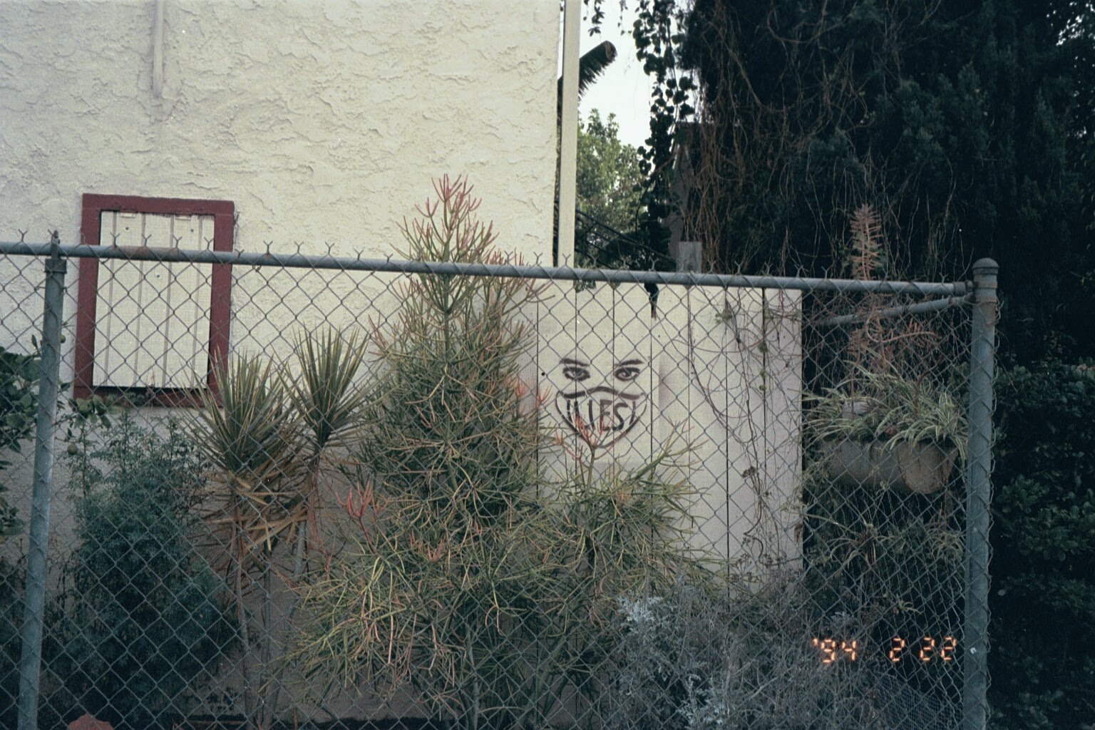 0810_DX-23A1643236536961_Original.jpeg