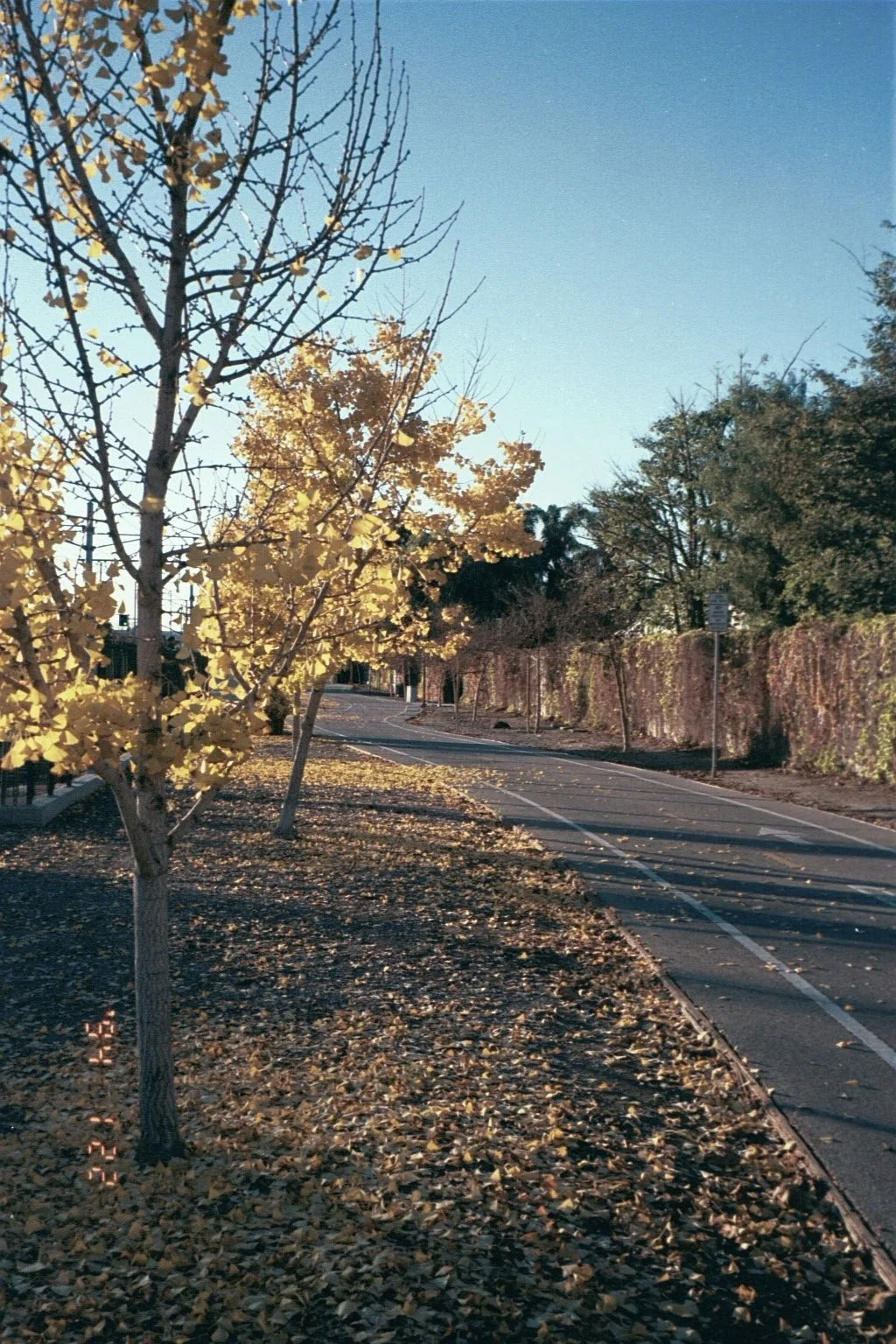 0810_DX-18A1643236536959_Original.jpeg