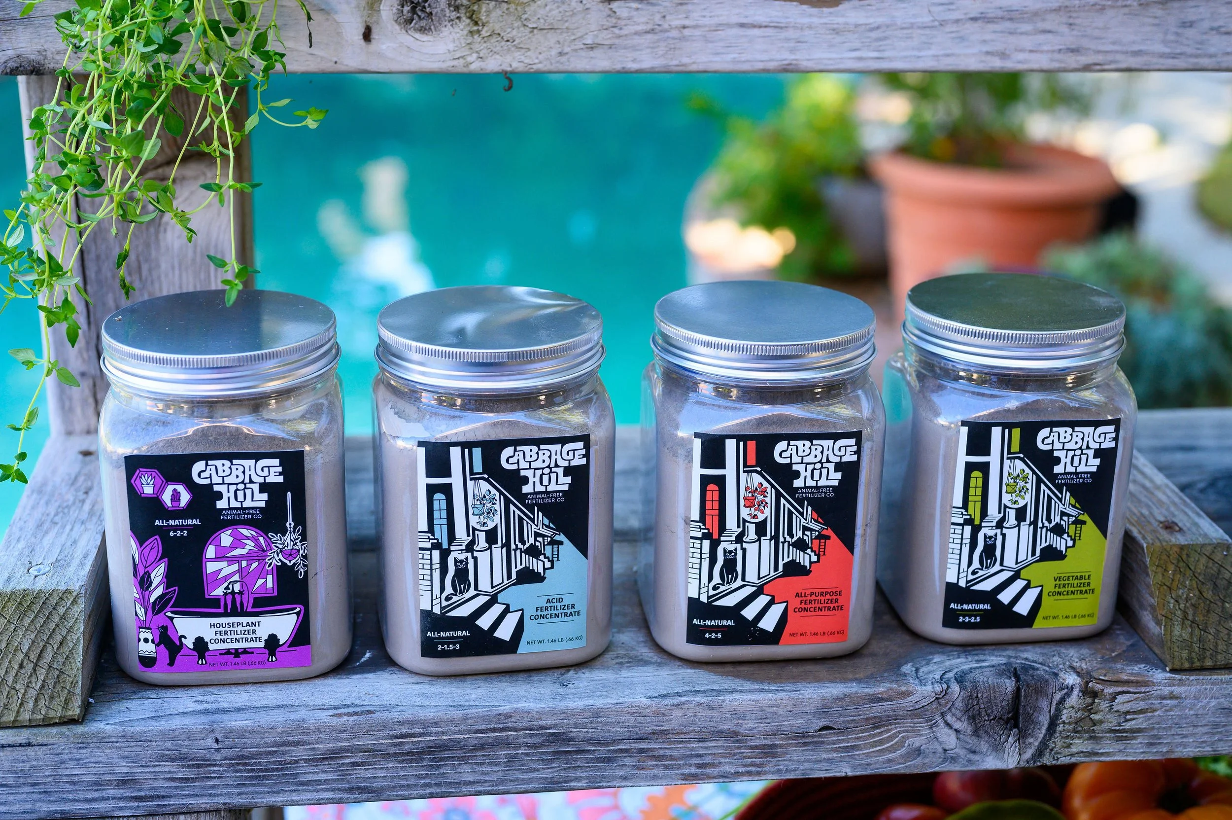 Graphic color blocking illustration with black cat designed for label branding for Cabbage Hill fertilizer. 