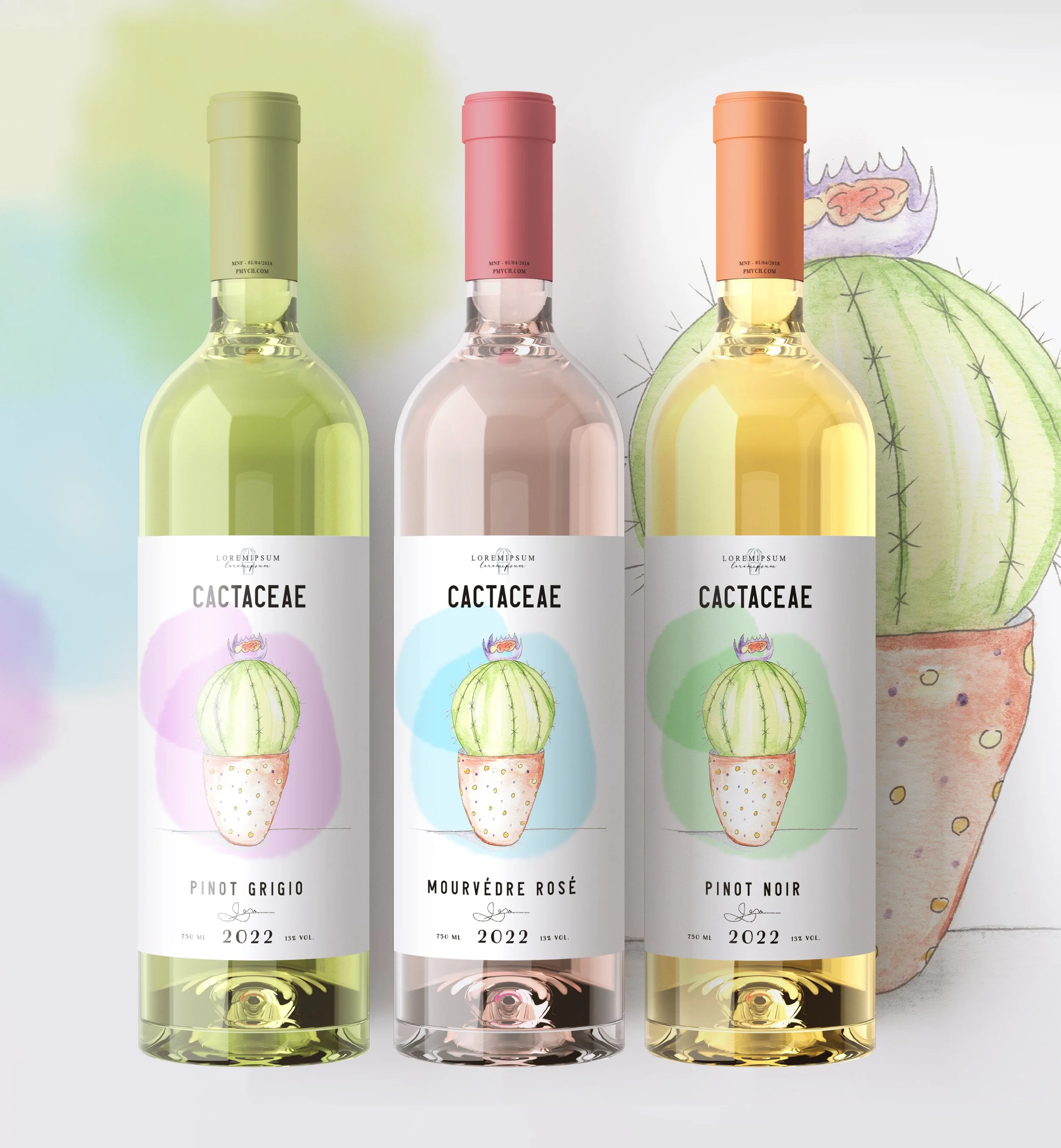 Custom wine label design with painted label illustrations of a cactus. 