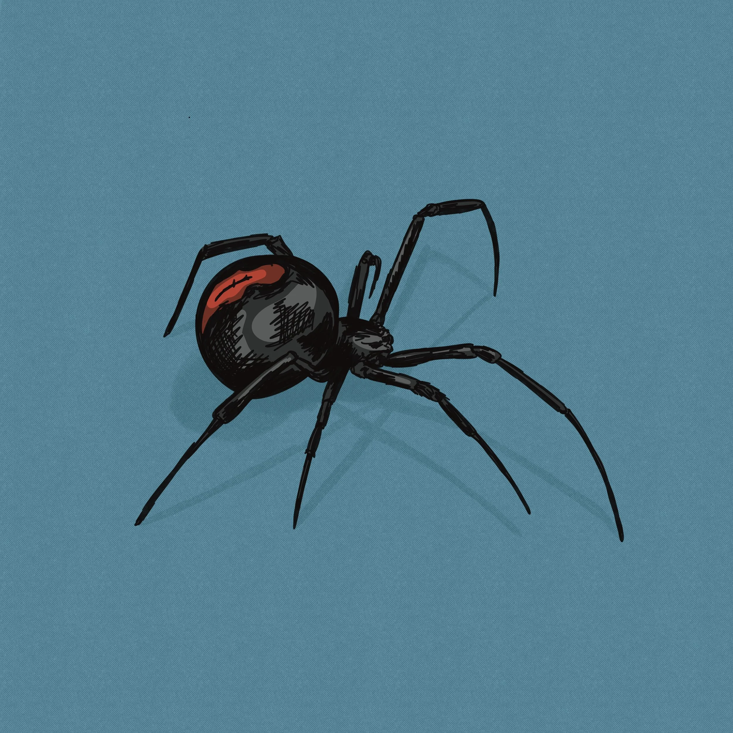 Black widow tattoo design.