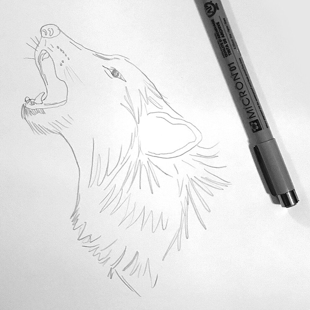 Pencil_Drawing_Wolf_Howl.jpg