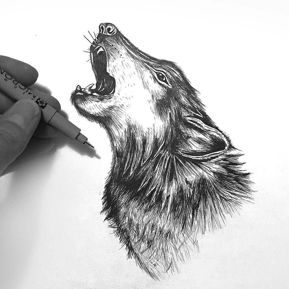 Wolf_Pen_ink_Artist.jpg