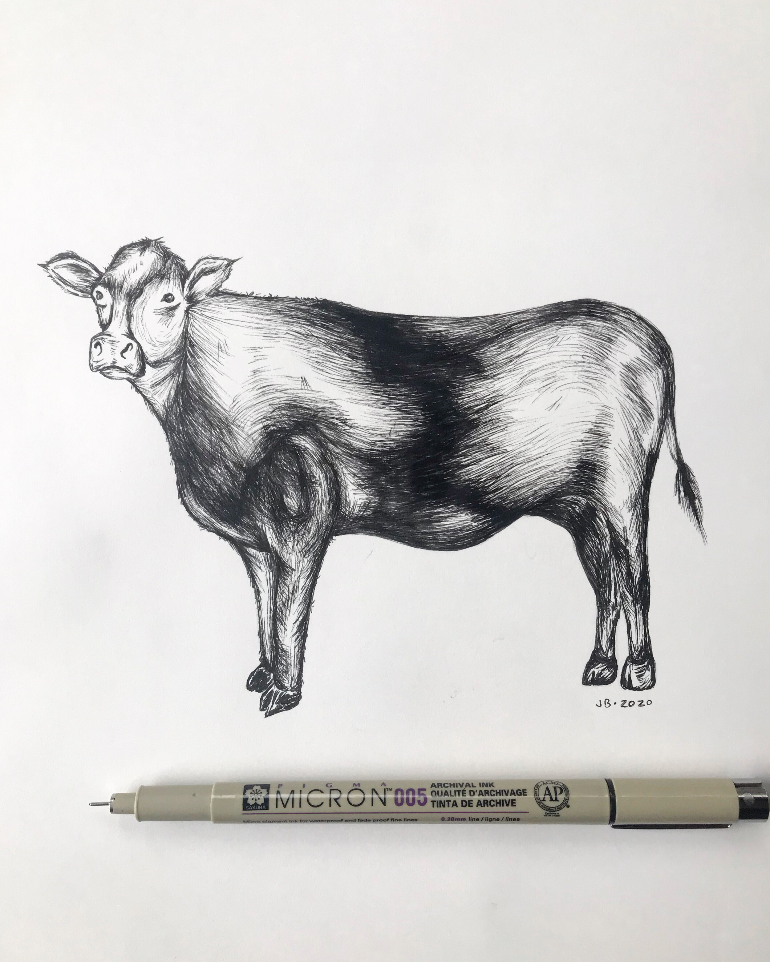 How to Draw a Cow (Farm Animals) Step by Step | DrawingTutorials101.com