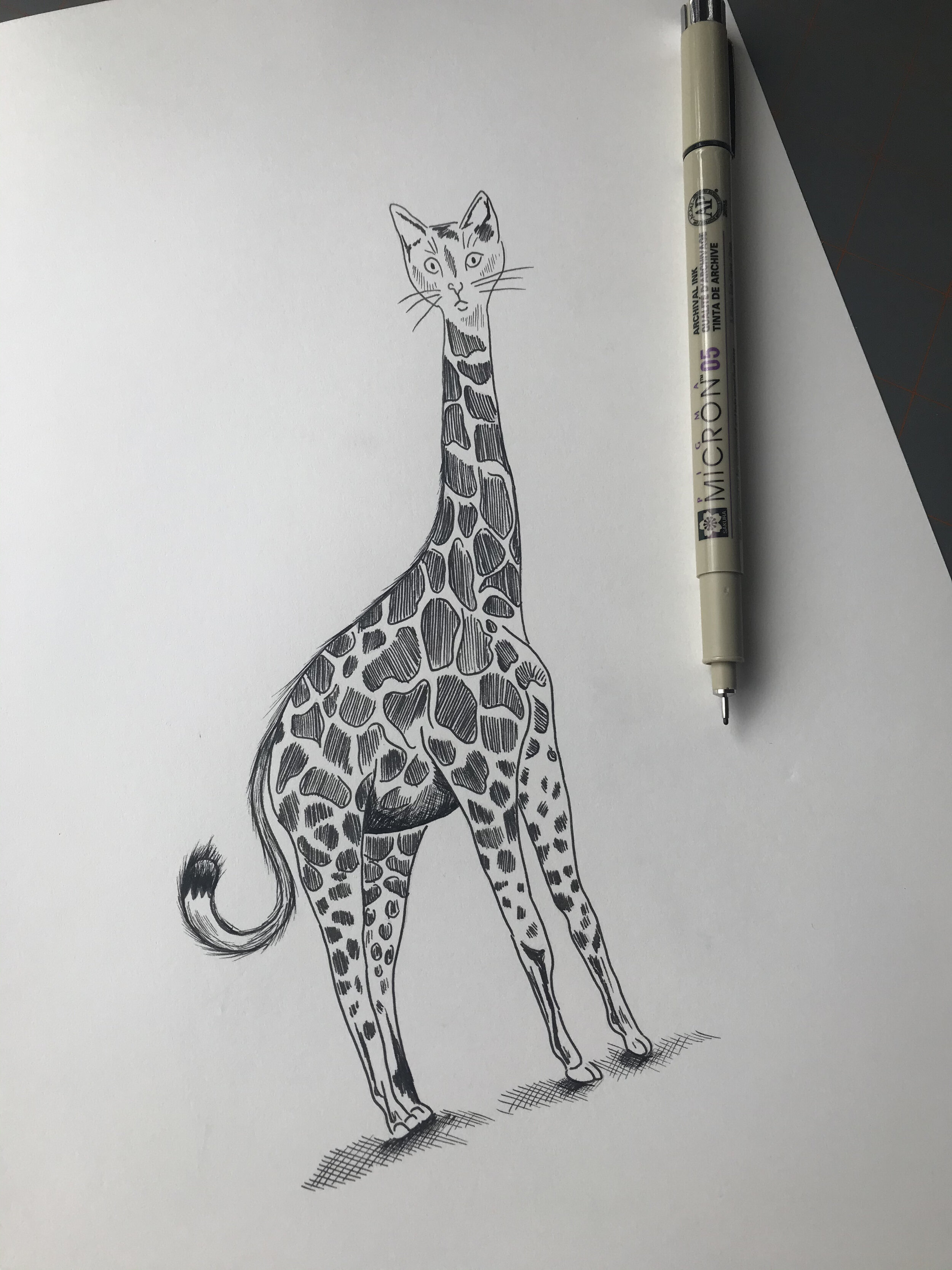 pen and ink animal illustration fine art for sale