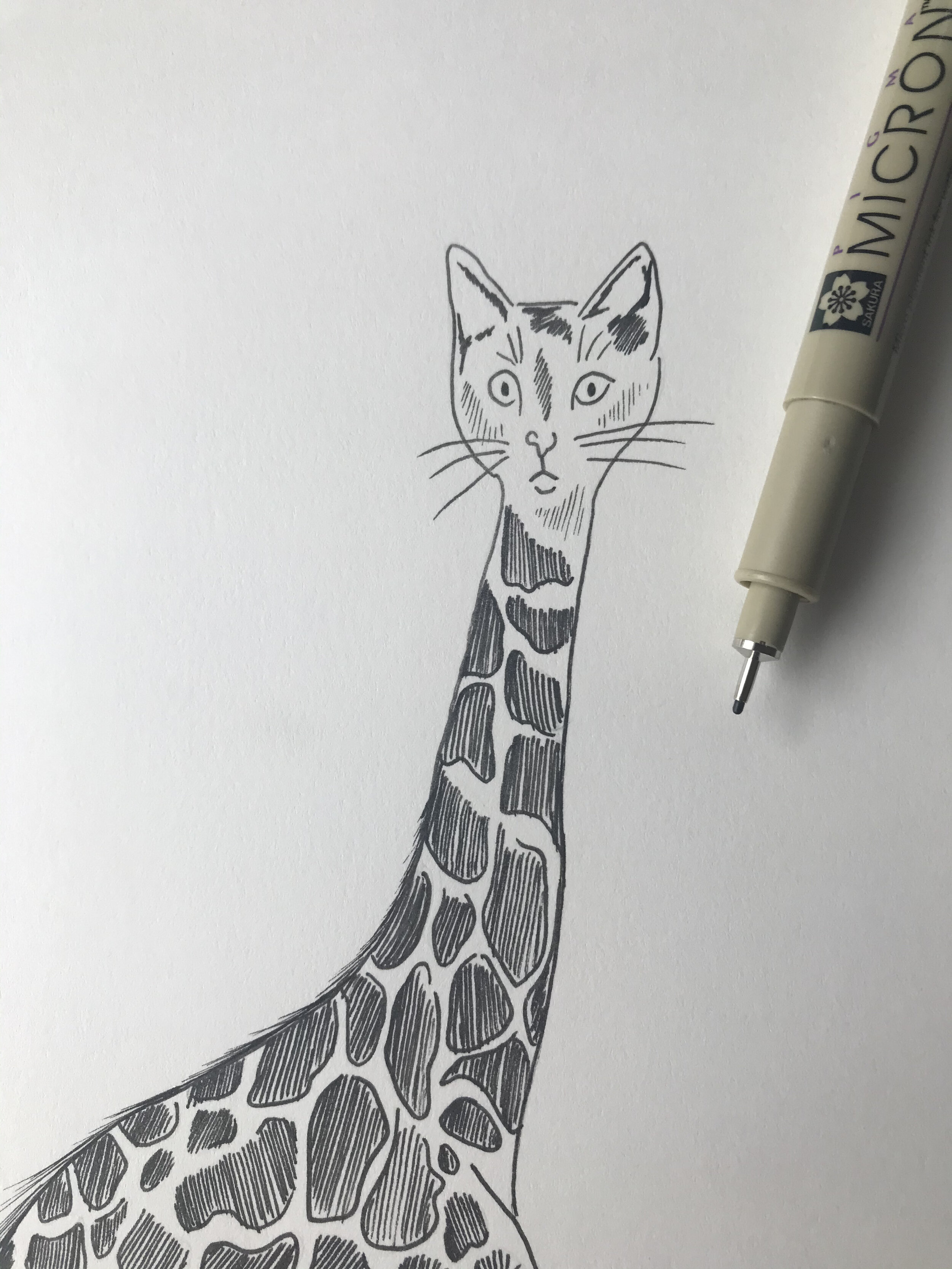 Animal smashup creative artwork for sale by Jen Borror at Hoot Design Studio in York, PA