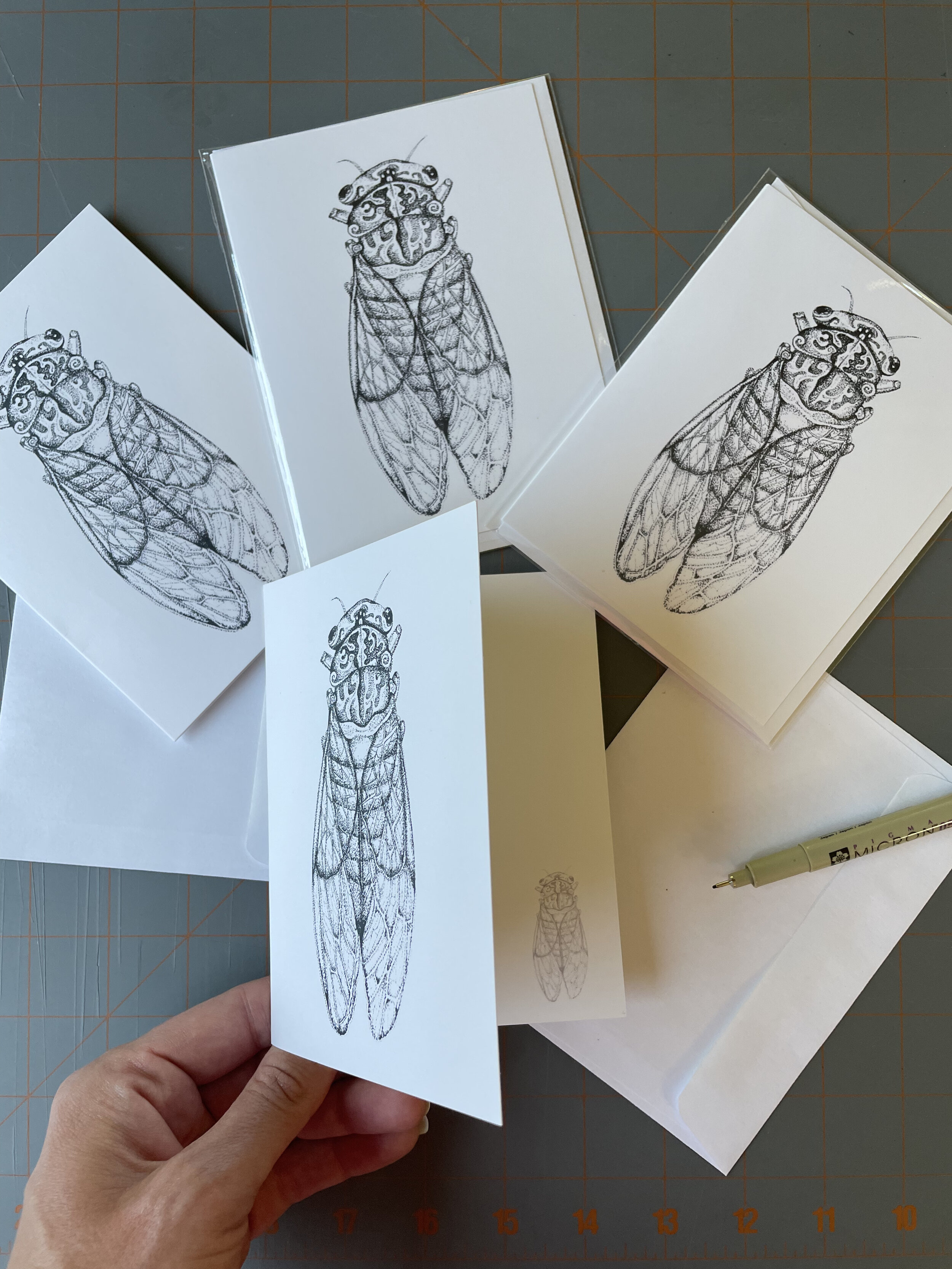 Brood X 17 year cicadas note cards for insect lovers
