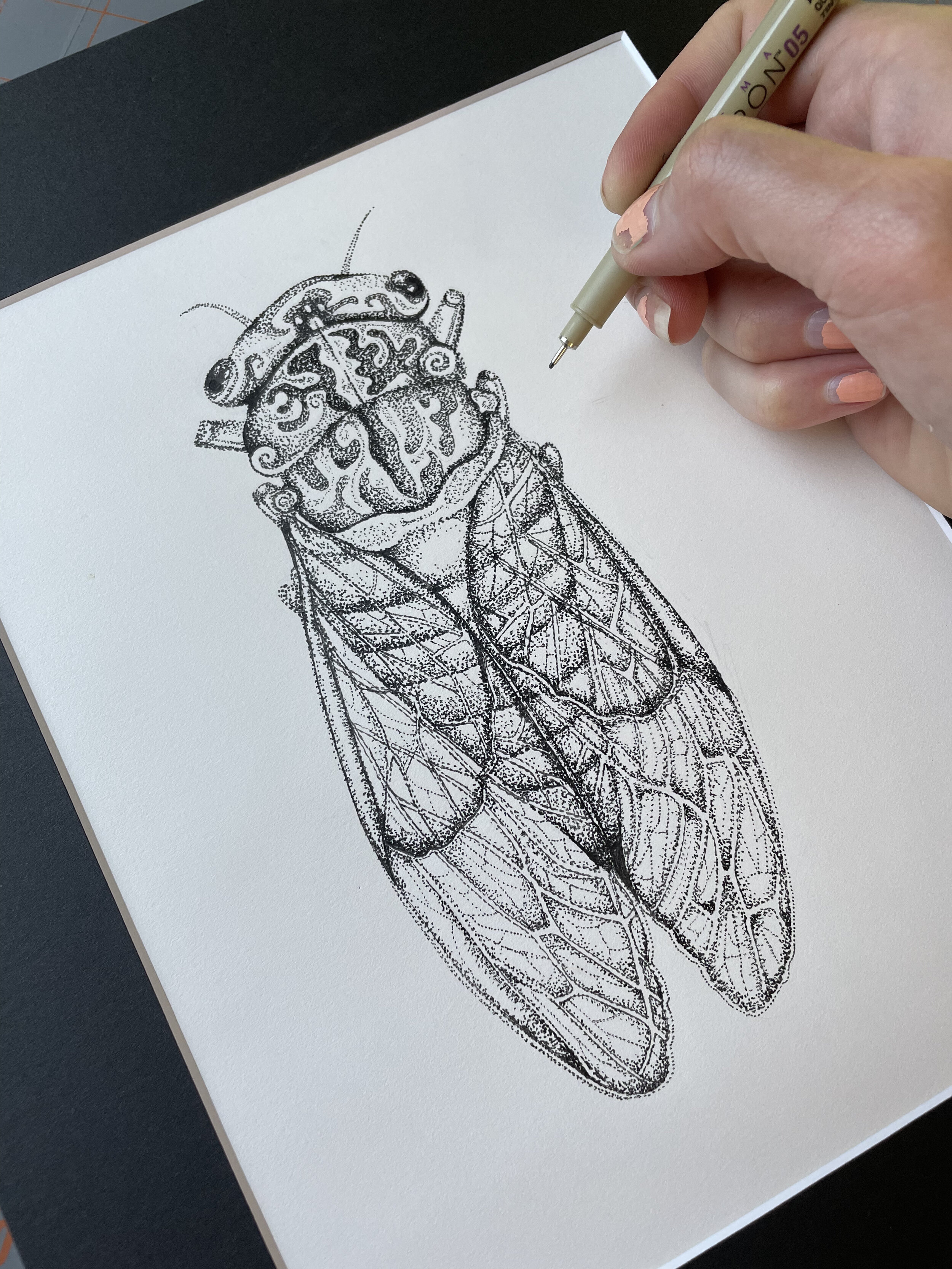 Brood X cicada stipple dotwork drawing all dots pointillism illustration