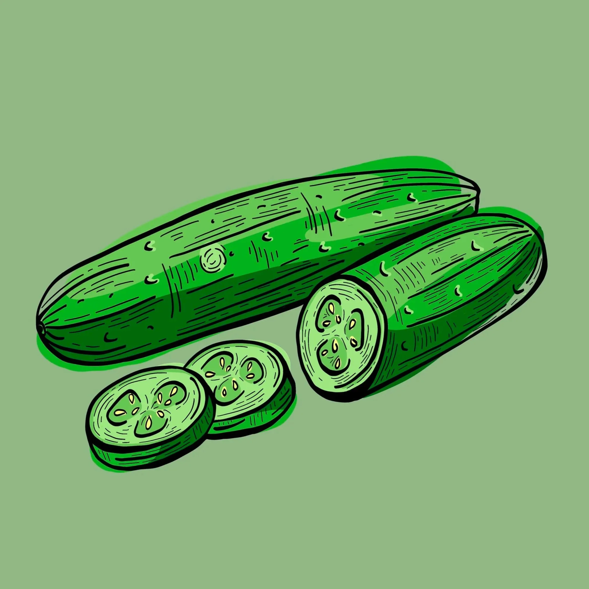 cucumber+illustration+with+sliced+pickles.jpg