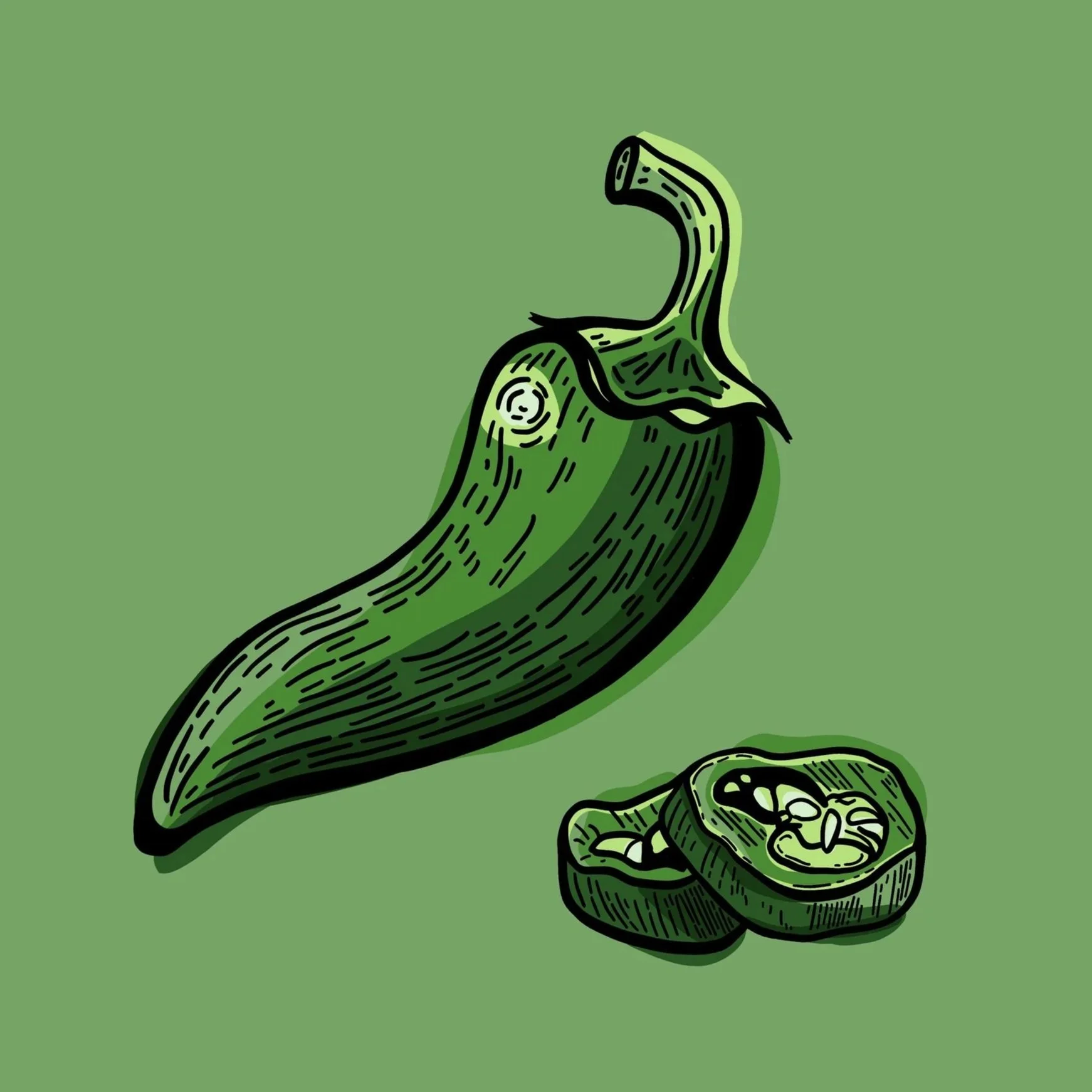 jalapeno+pepper+illustration+for+hot+sauce+label+.jpg