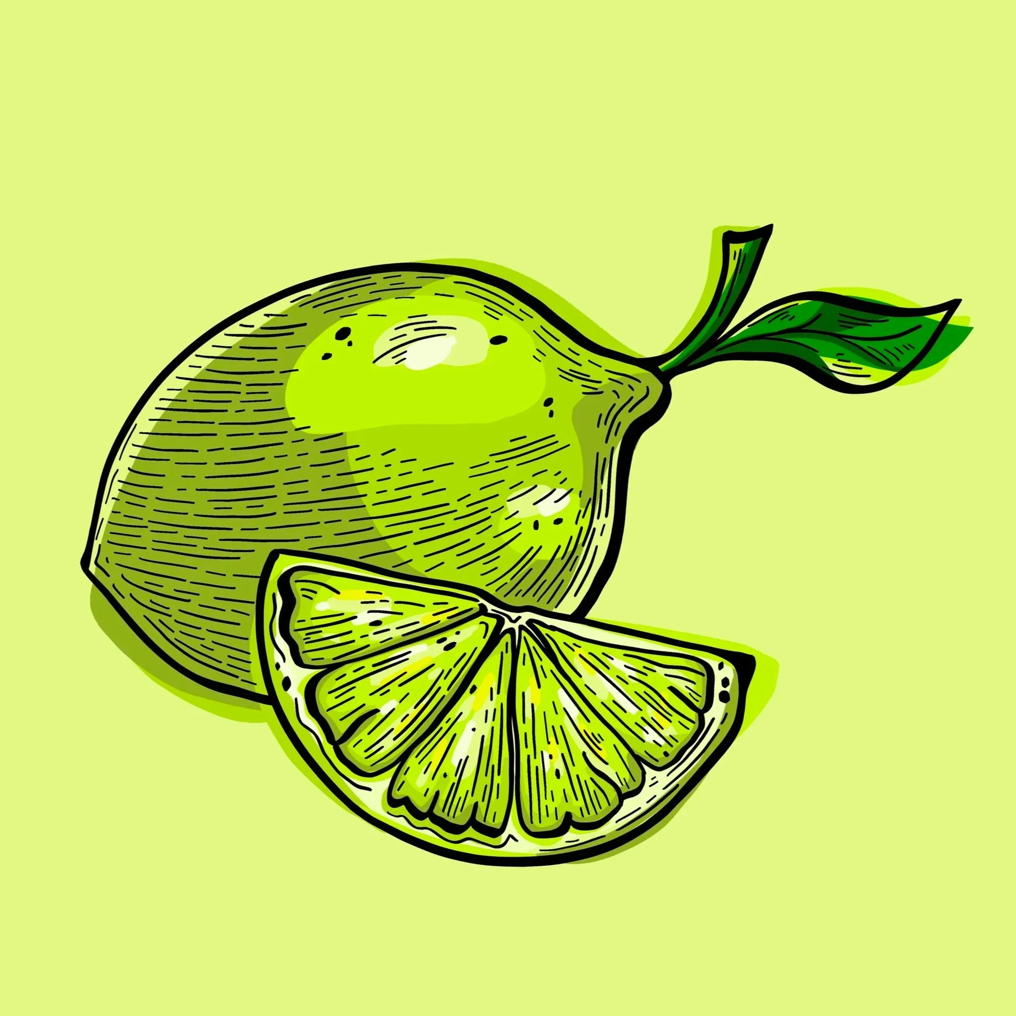 Lime+engraving+illustration.jpg