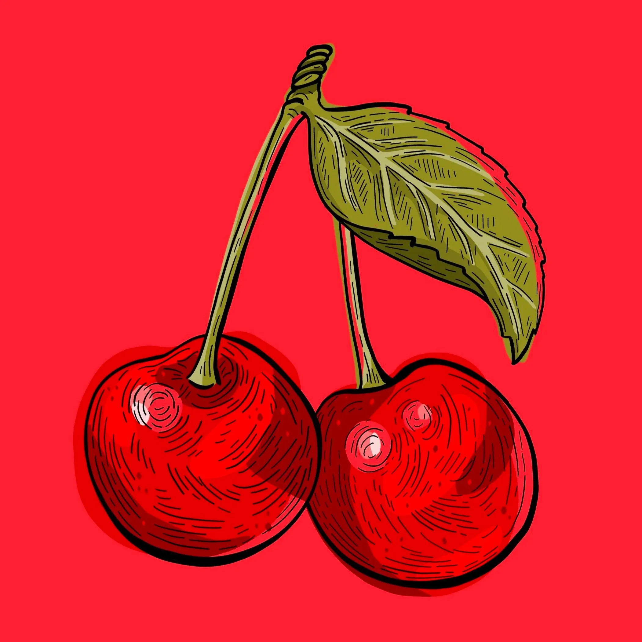 cherry+vintage+illustration.jpg