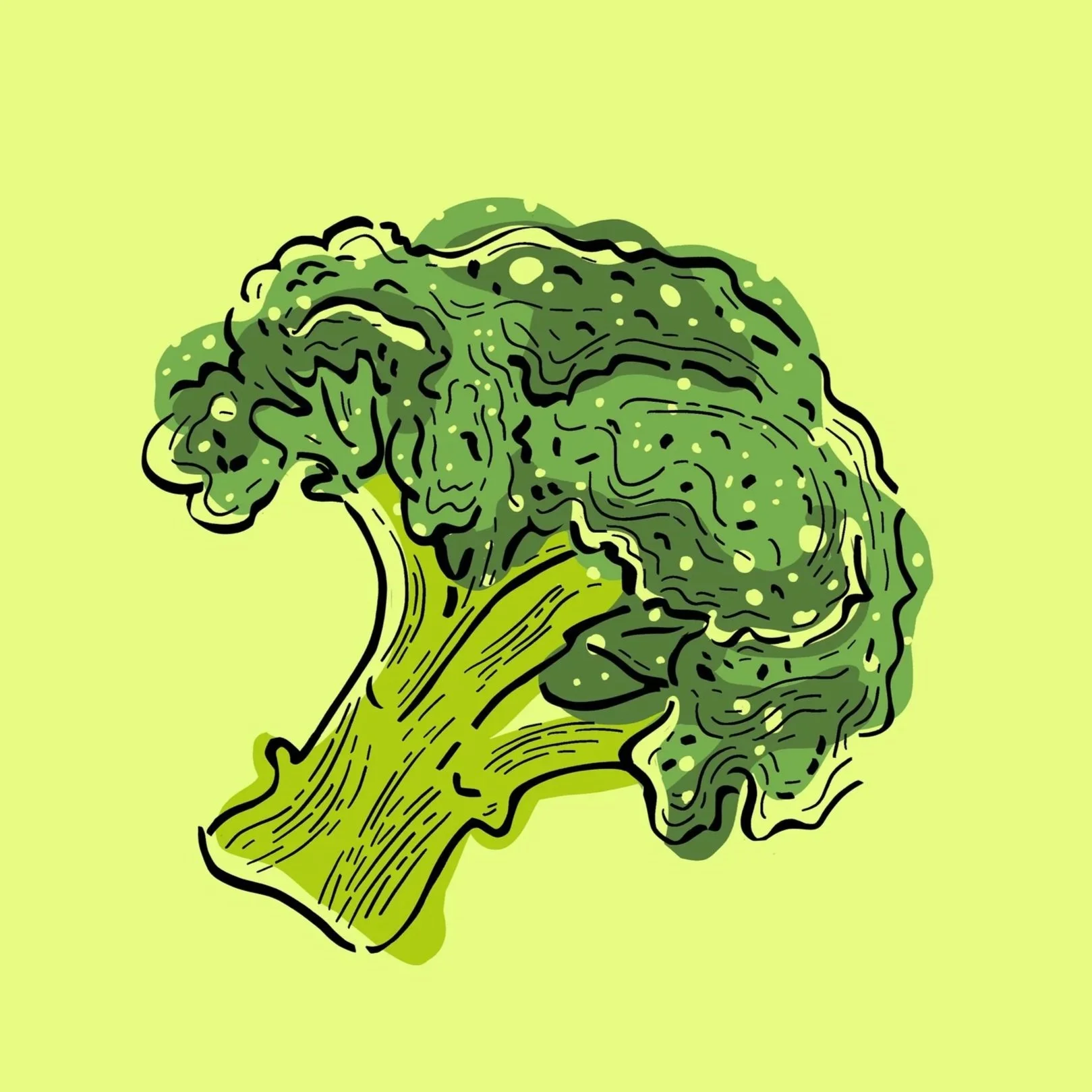 broccili+illustration+hand+drawn.jpg