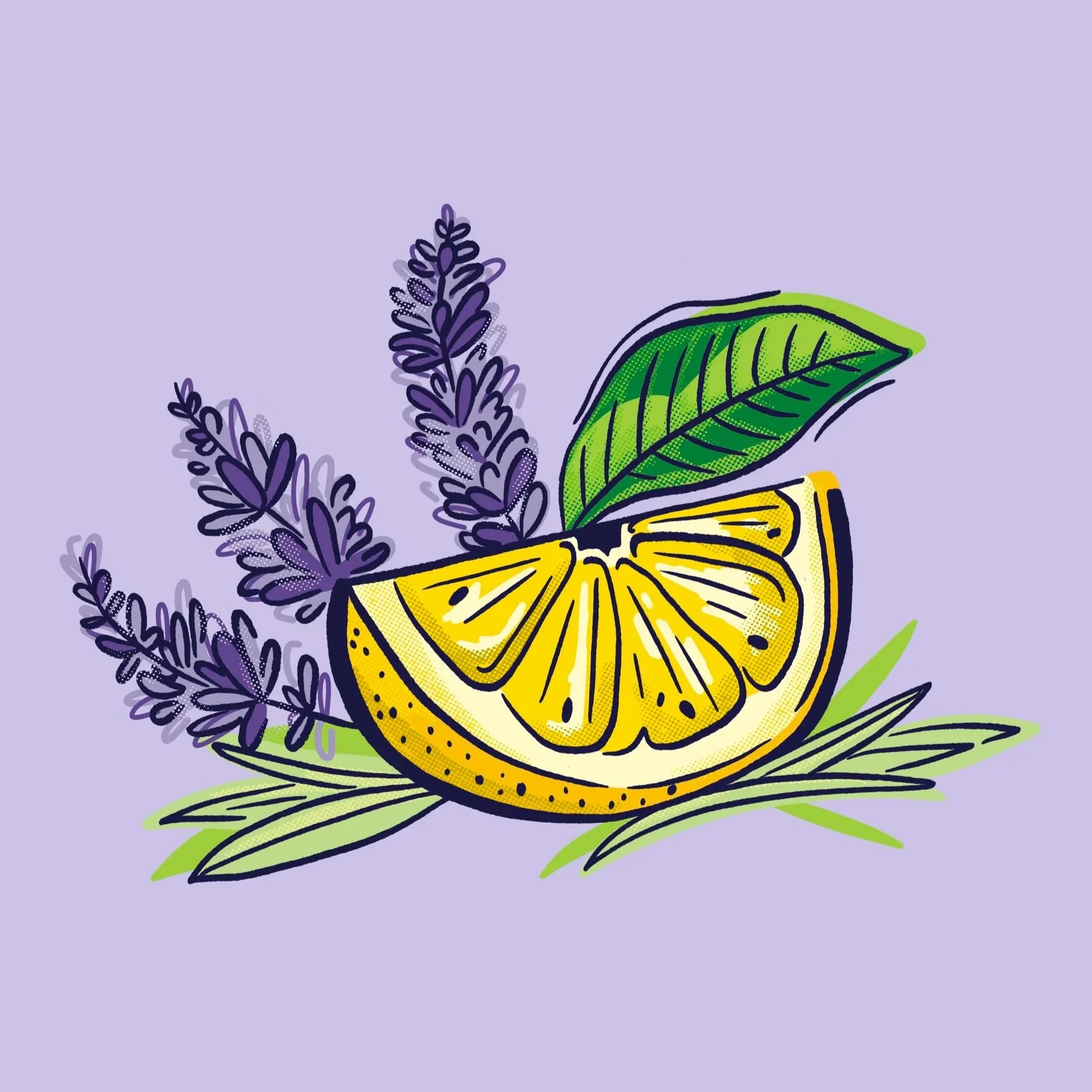 Lavender+lemonade+illustration+for+drinks.jpg
