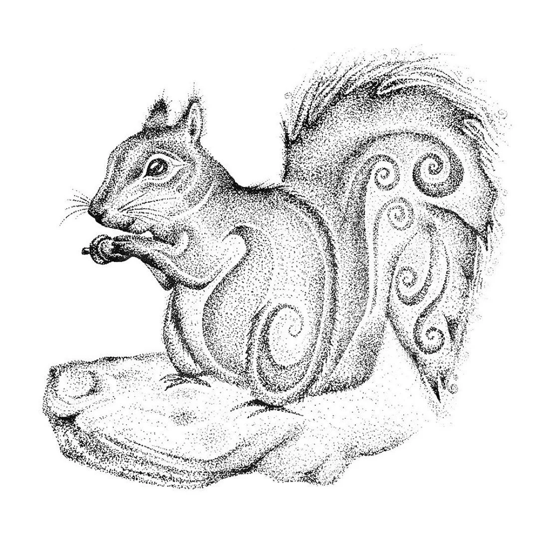 Stipple illustration of a squirrel with swirls in the tail drawn in all ink dots. 
