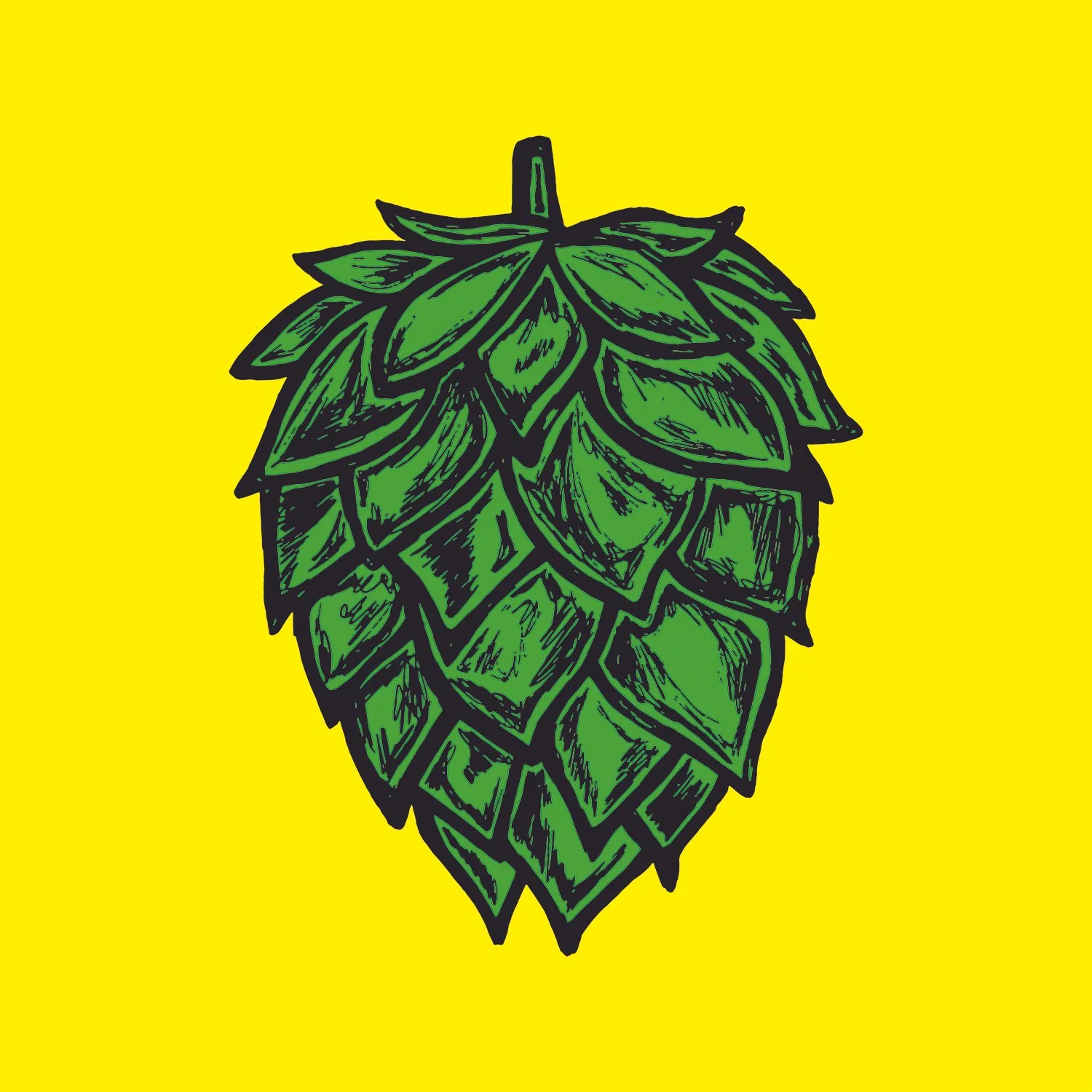 Hand drawn beer hop illustration. 