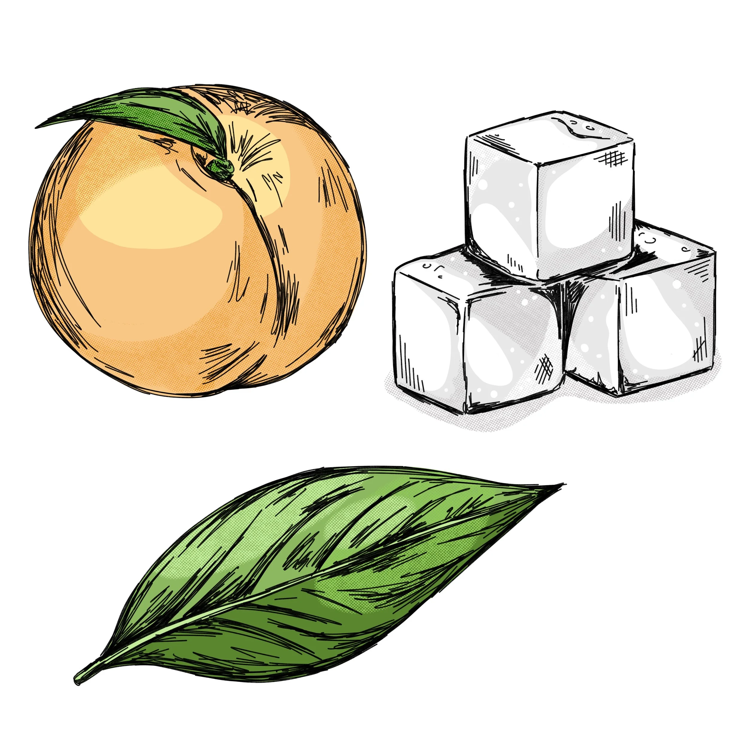 Sketchy hand drawn illustrations for peach ice tea.