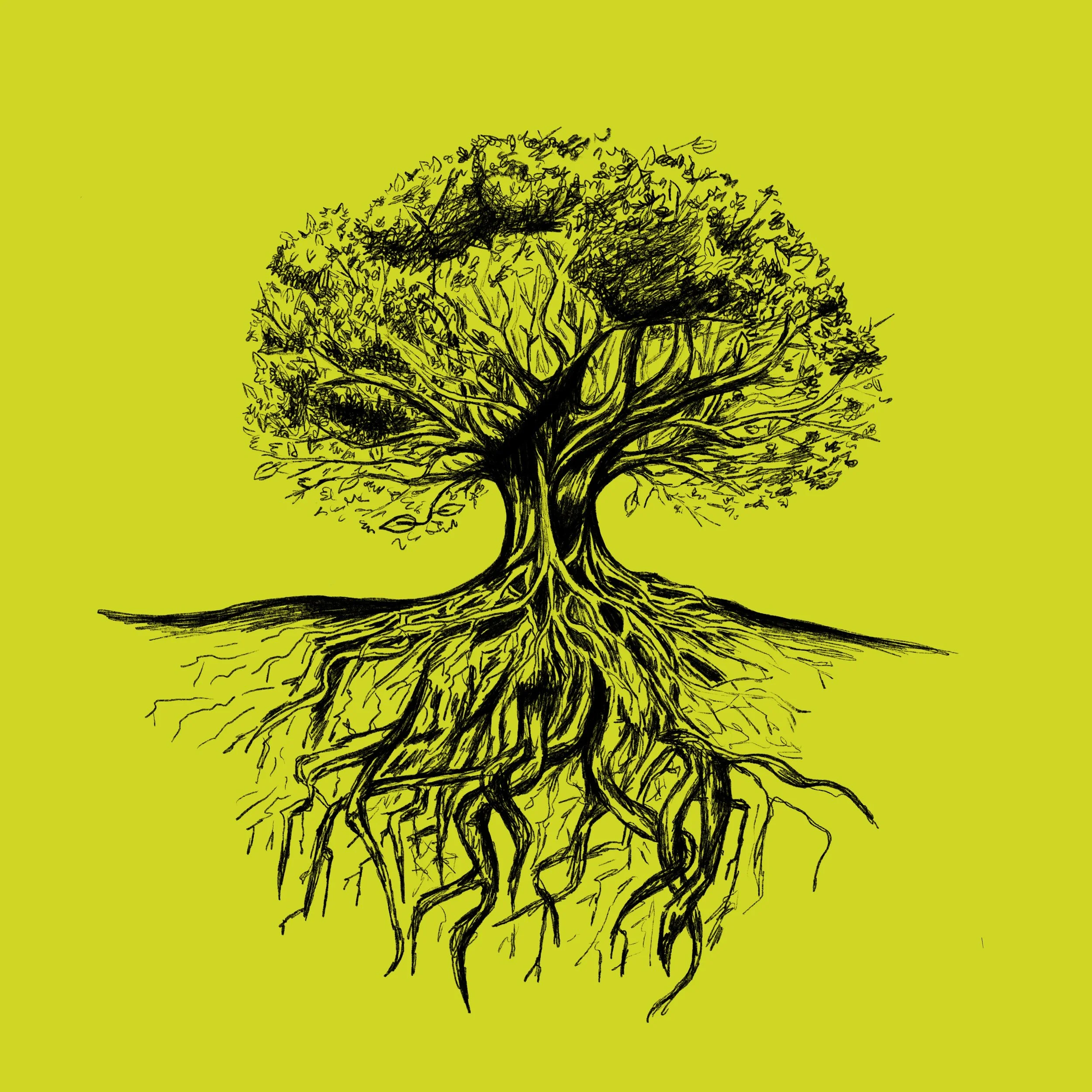 Illustration drawn in a sketchy style of the tree of life. 