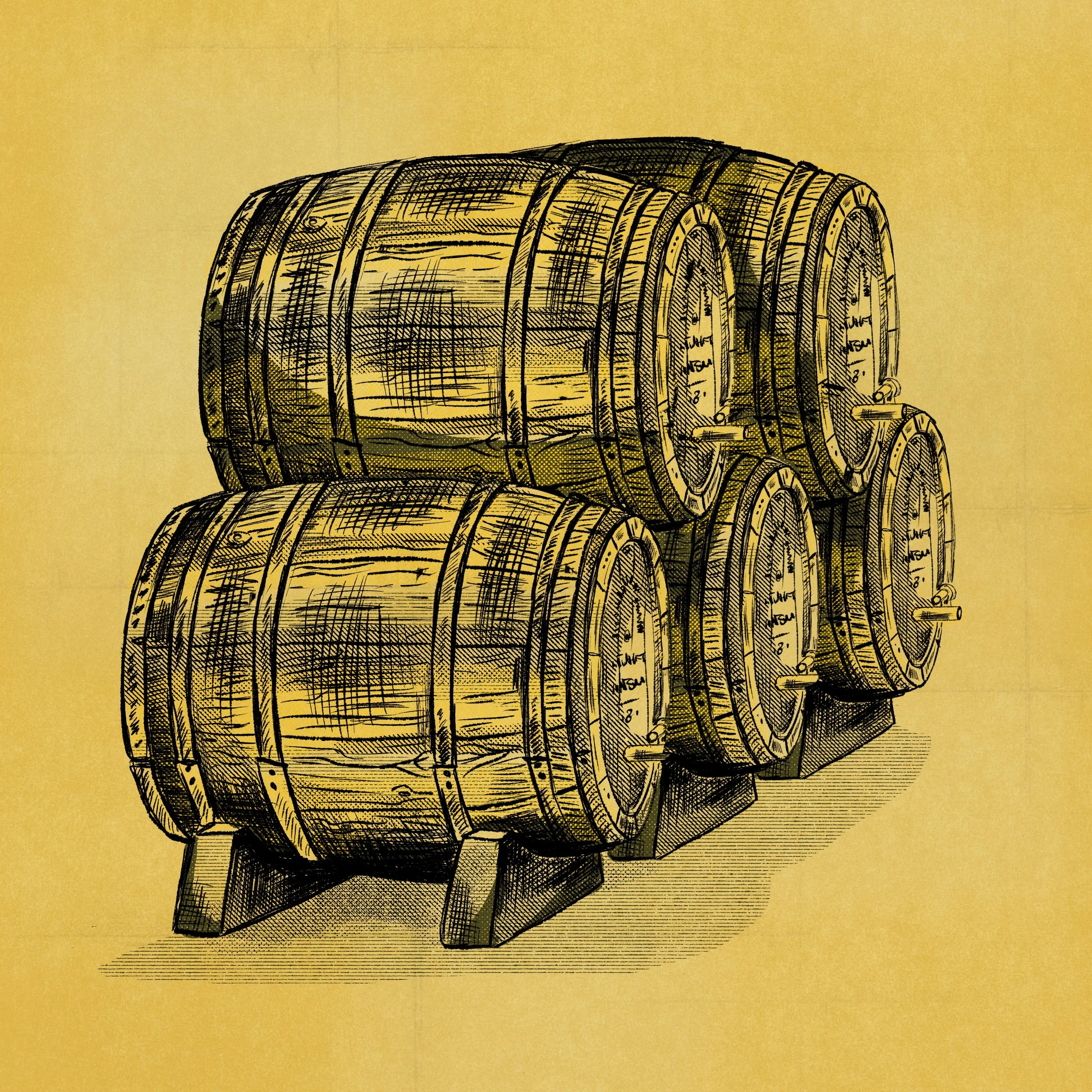 Beer or wine barrels illustration drawn for packaging design. 