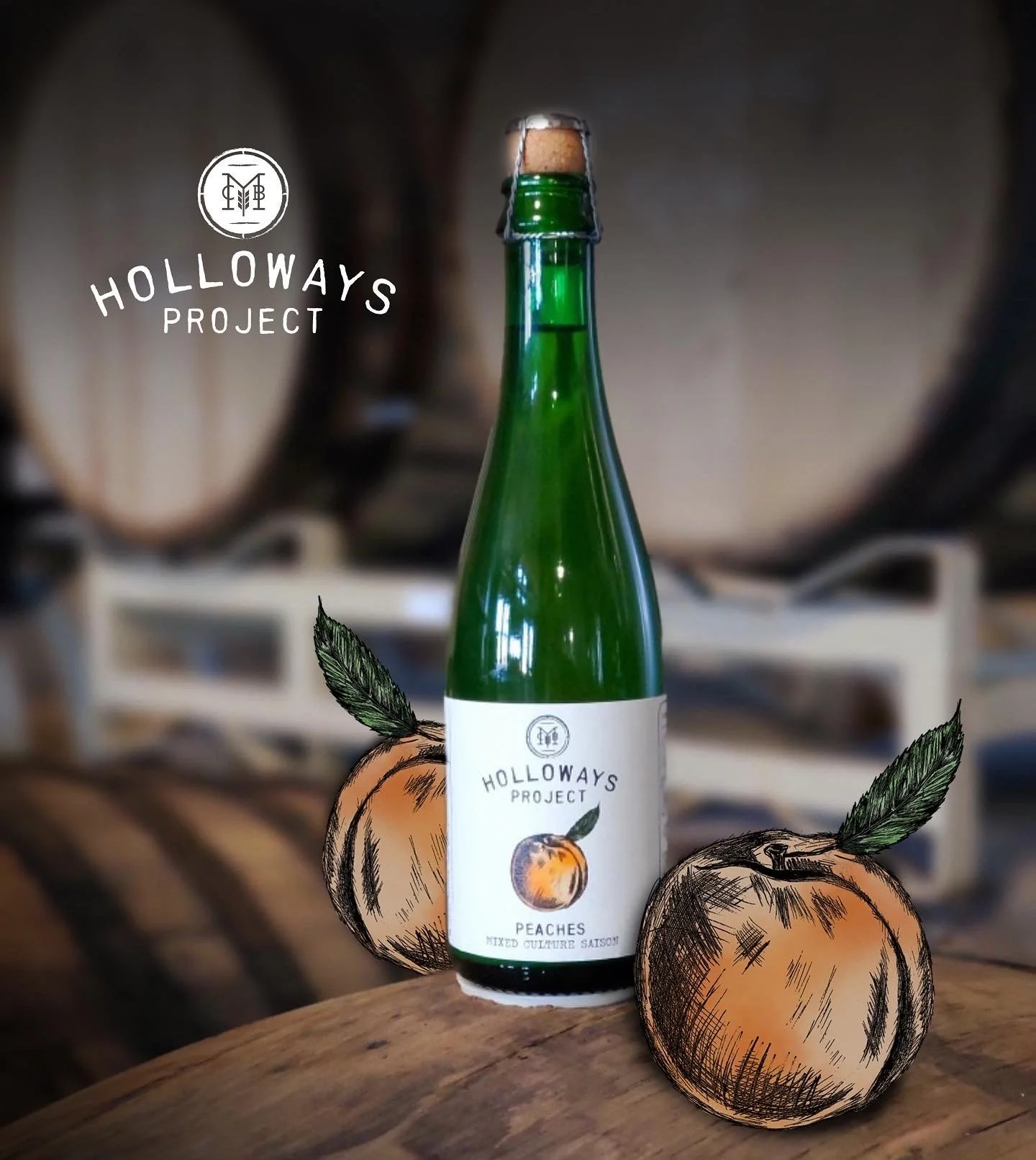 Beer bottle for Holloways with hand drawn illustration of a peach. 