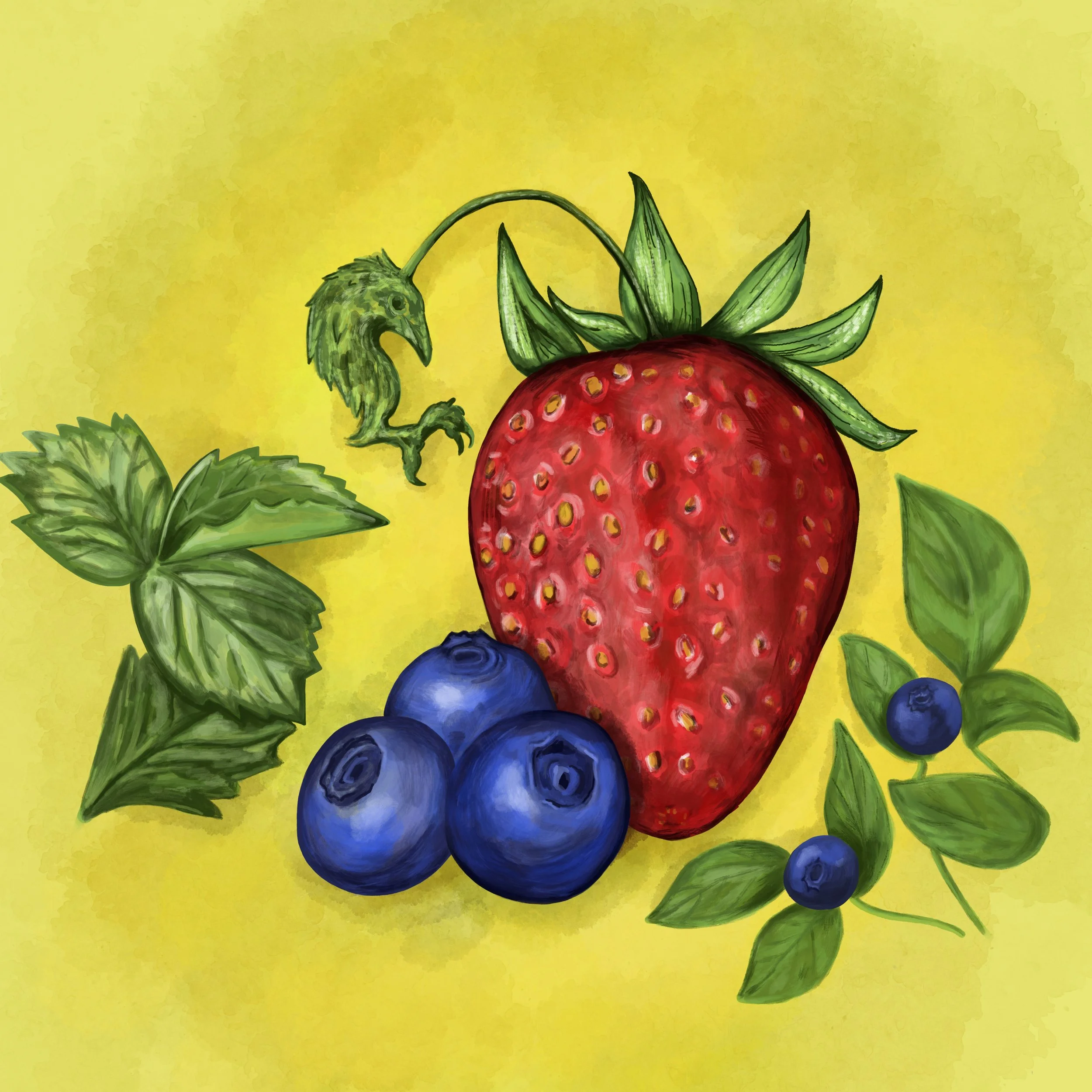 Digital painting of blueberries and strawberry illustrated in a watercolor style for a sour fruit beer label. 