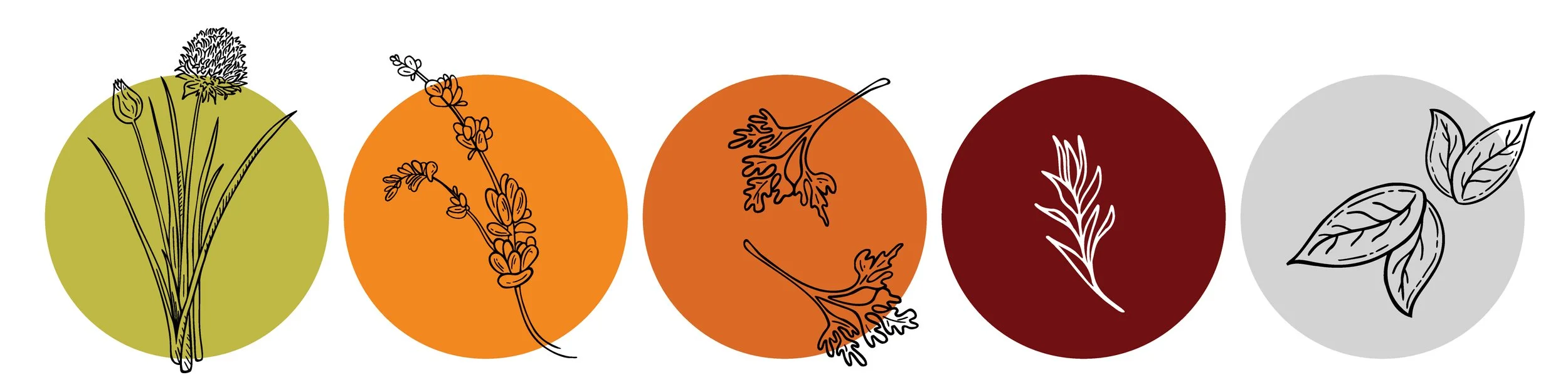 Spice icon illustrations drawn in an engraving style.