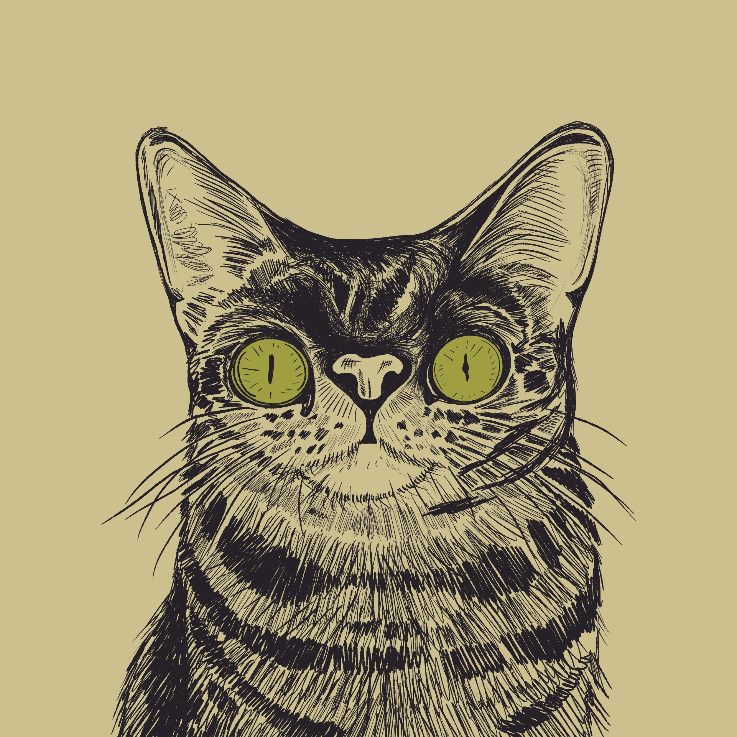 Illustration of a funny cat with large green eyes drawn in a sketchy style. 