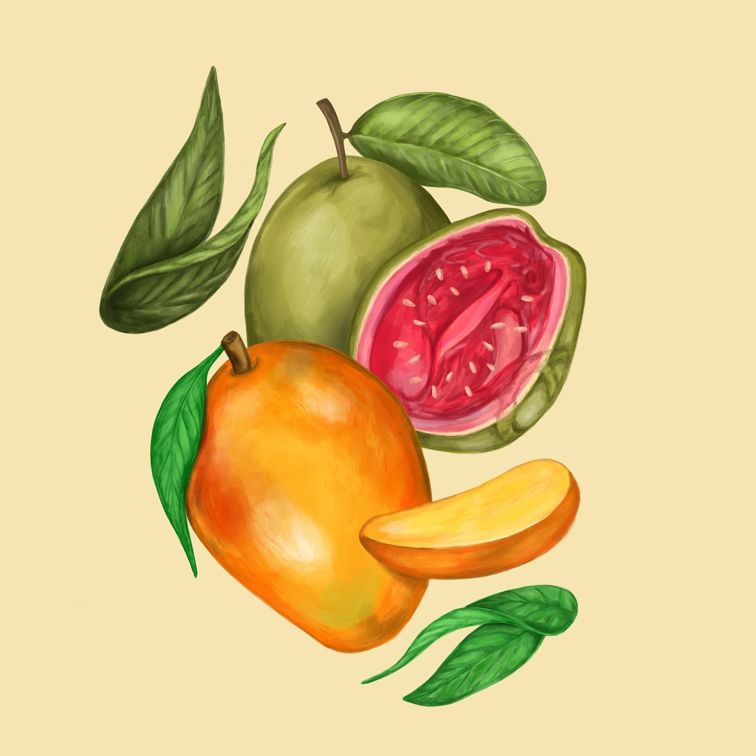 Painting of mangos and guava fruit illustrated for Mudhen Brewery in Wildwood, NJ. 