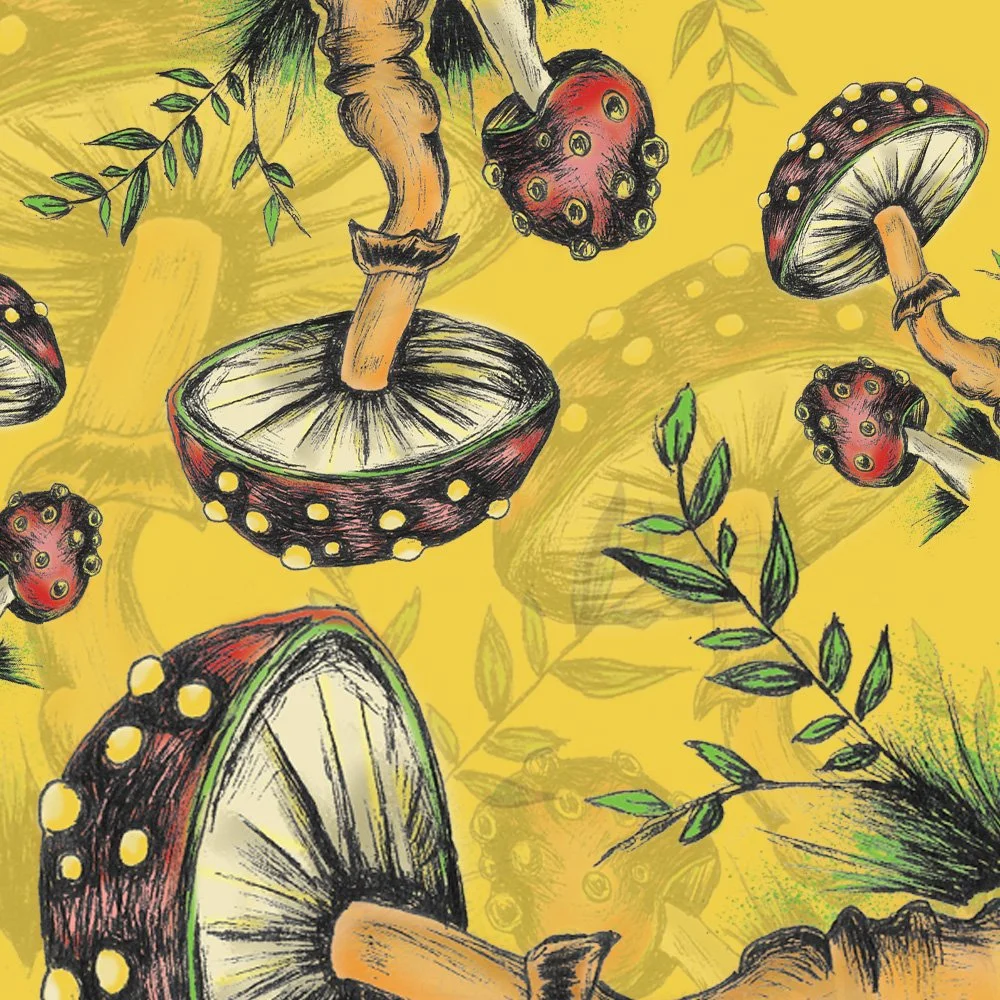 Funky mushroom illustration for a retro brand. 