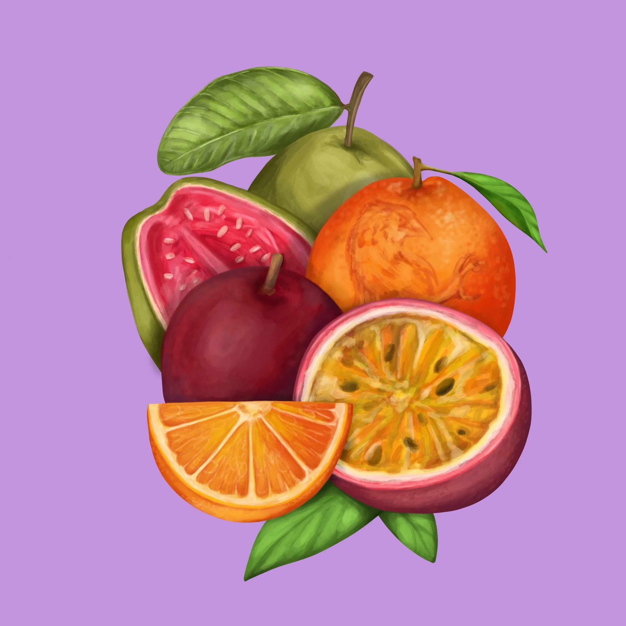 Premium painting of fruit showing oranges, passionfruit and guava illustrated for luxury packaging design. 