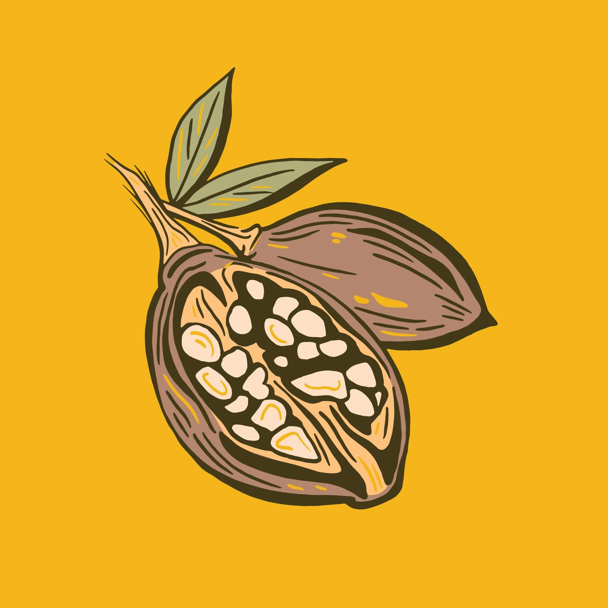 Baobab fruit illustration from Africa illustrated in a vector graphic style. 