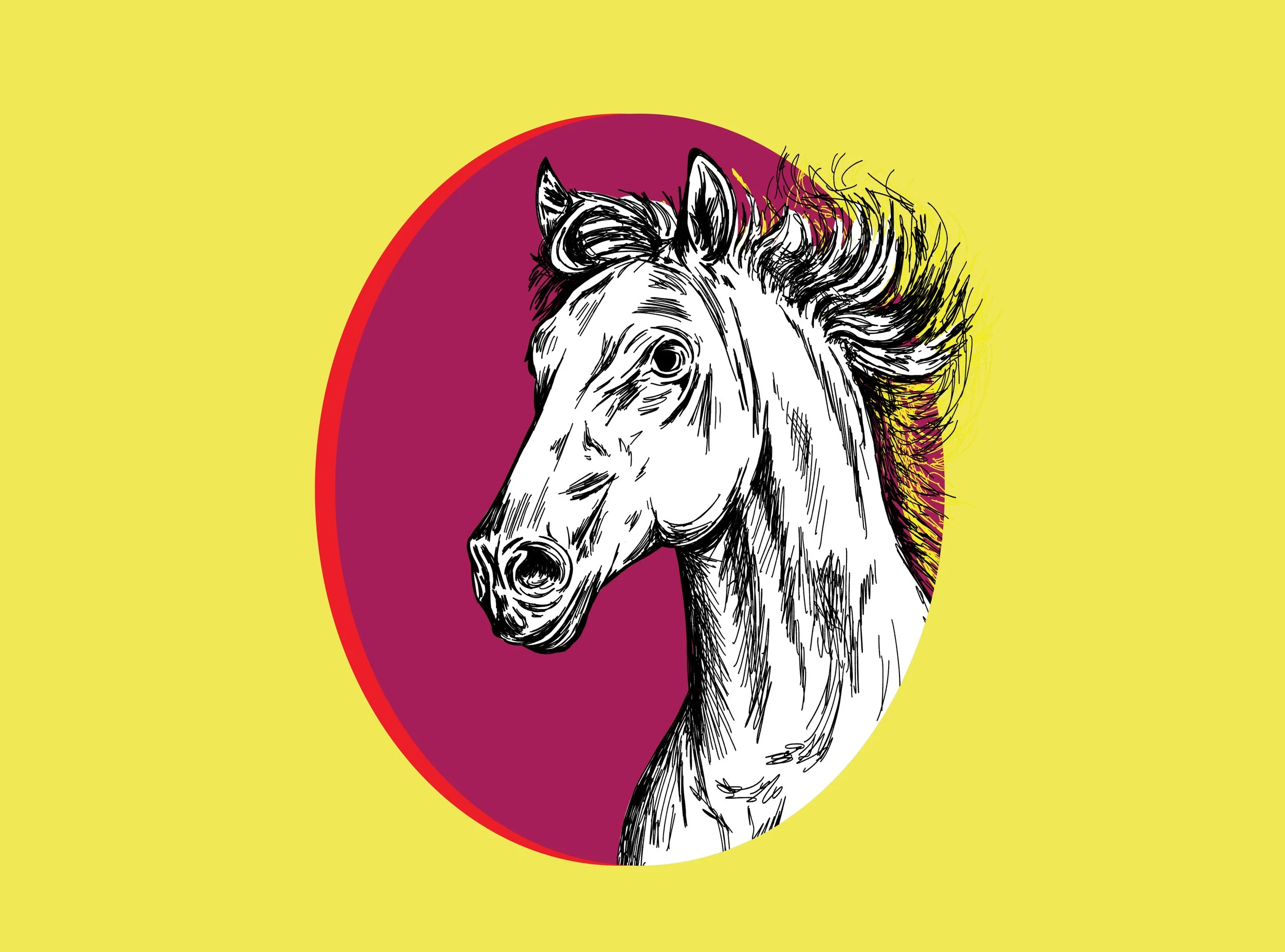 Portrait of a beautiful white horse drawn in a sketchy pen and ink style. 