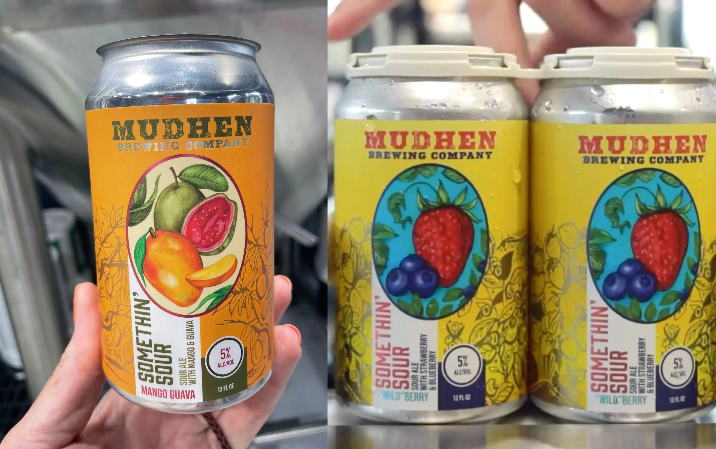 Fruit beer label design with hand painted illustrations.