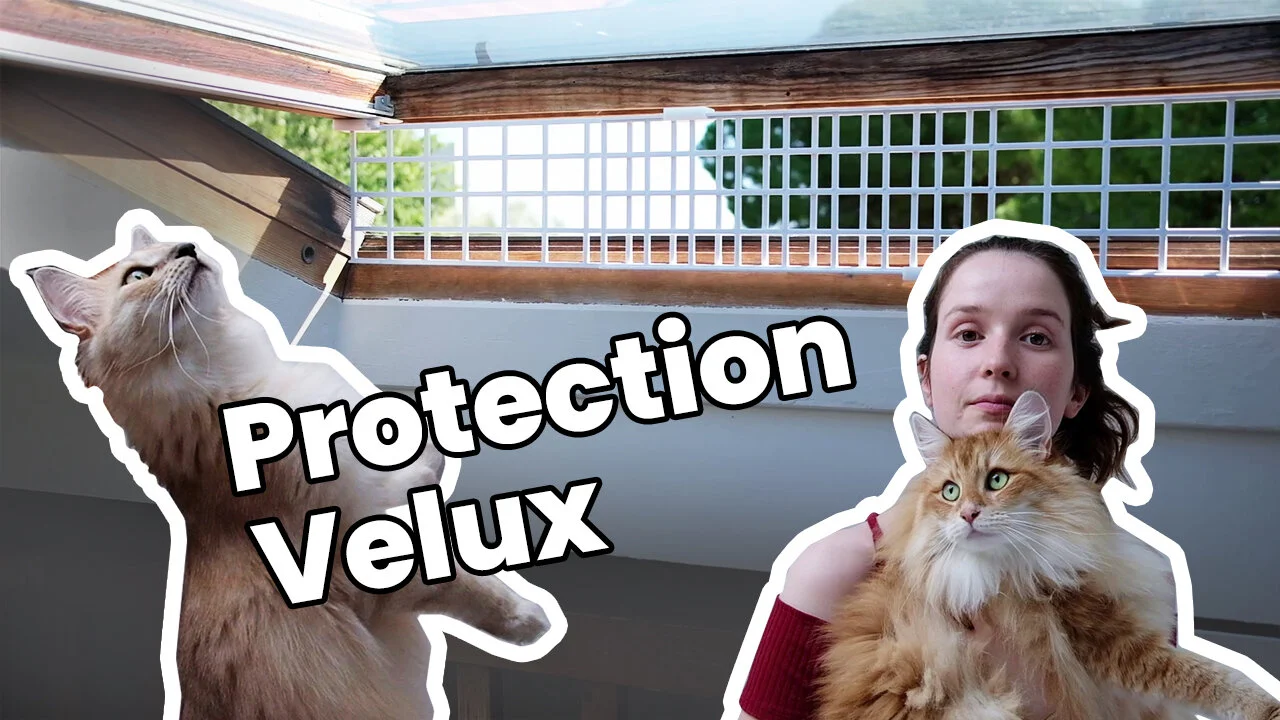 Comment sécuriser votre velux pour vos chats ?