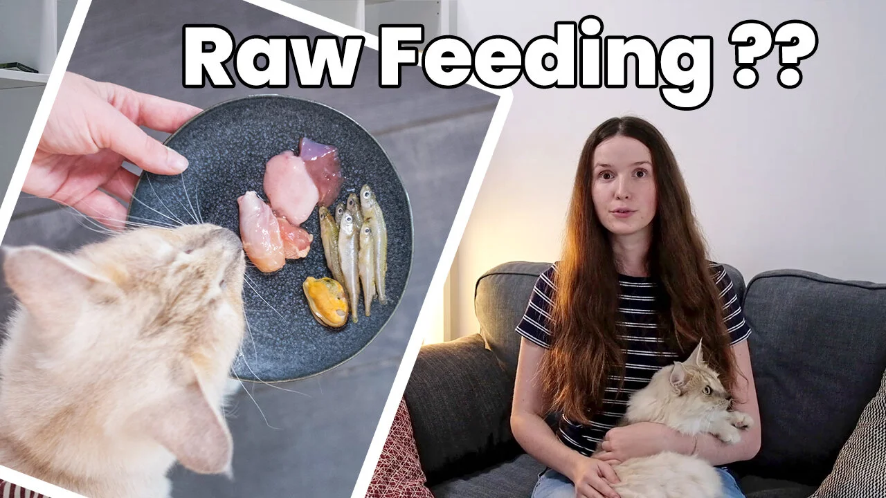 Qu’est ce que l’alimentation crue ?