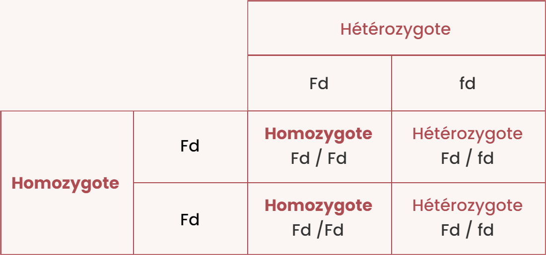 homo x hetero fr.png