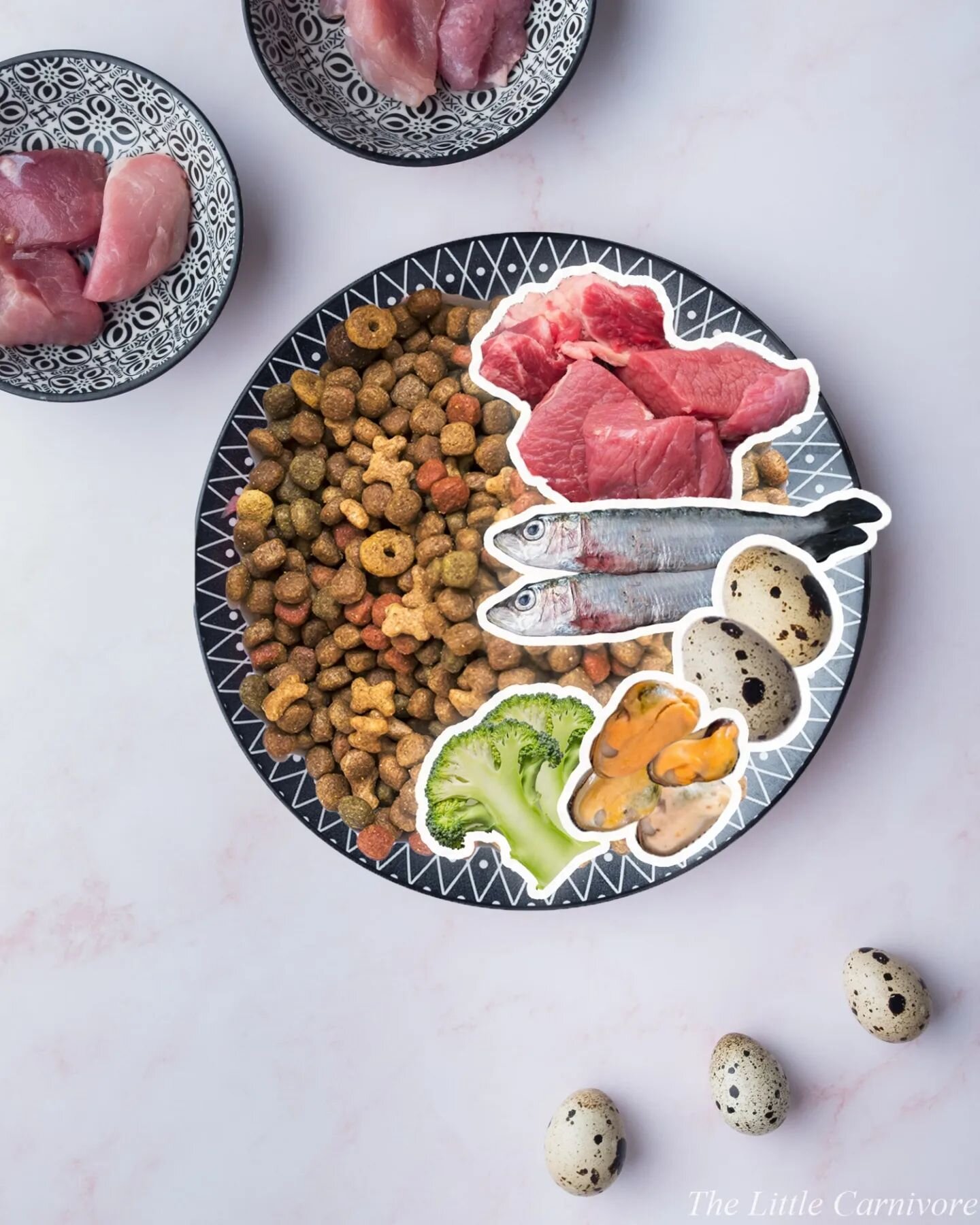 🚨 New article on the website 🚨
🥩 Not everyone can feed a raw diet, for various reasons, costs, logistics... Though it doesn't mean you can't add fresh food to your cat's diet!
🍖 You can add up to 20% of the calories as fresh food, not more so you