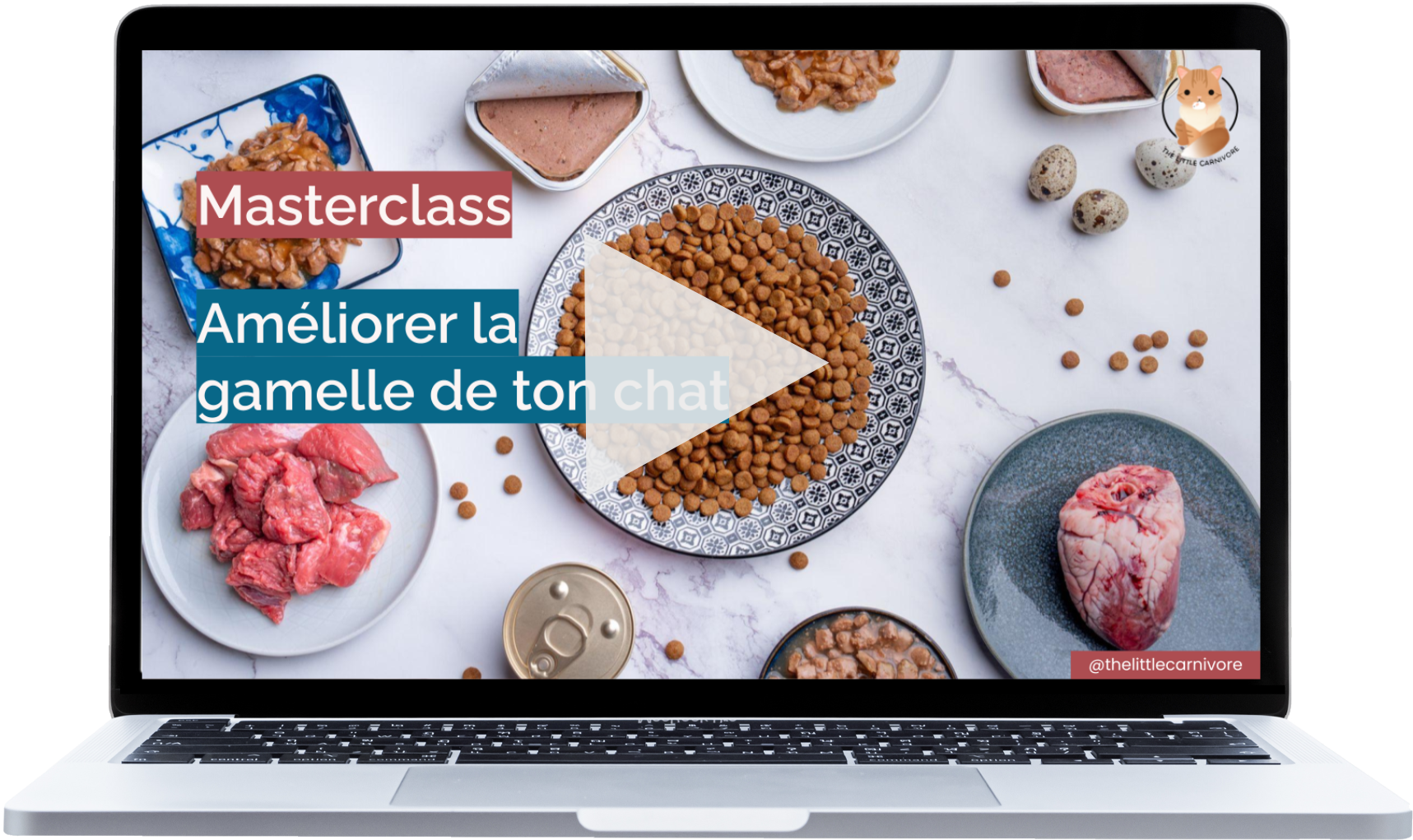 masterclass video.png