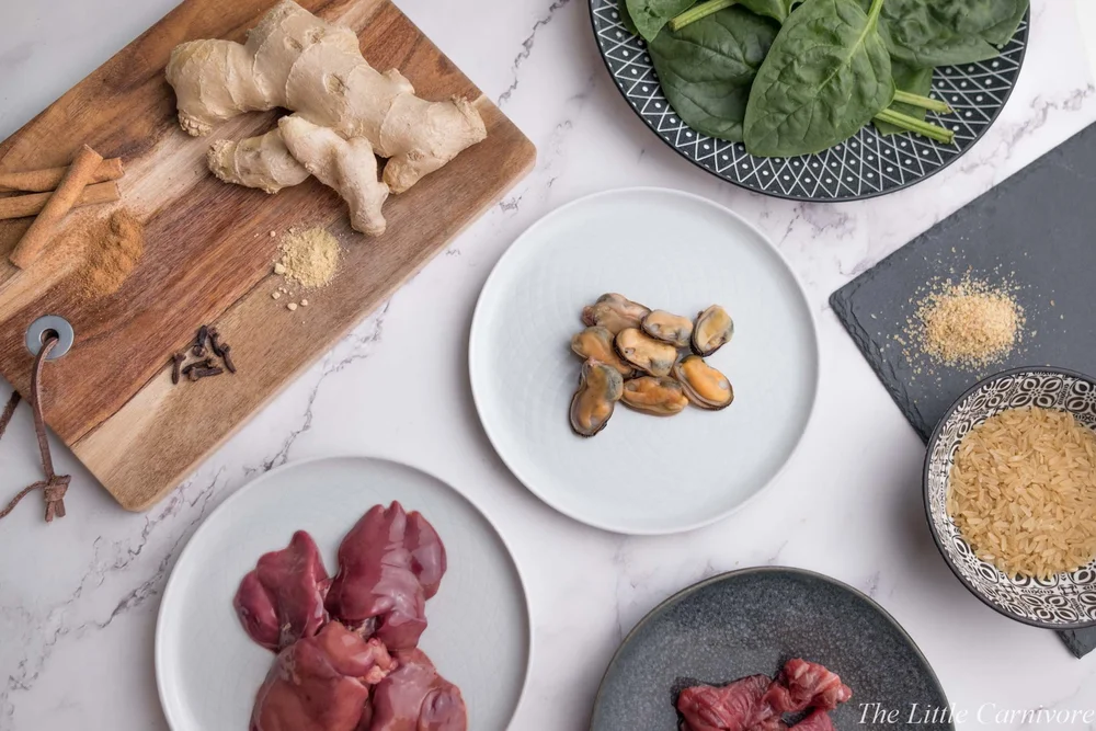Image showcasing Feline Nutrition — The Little Carnivore