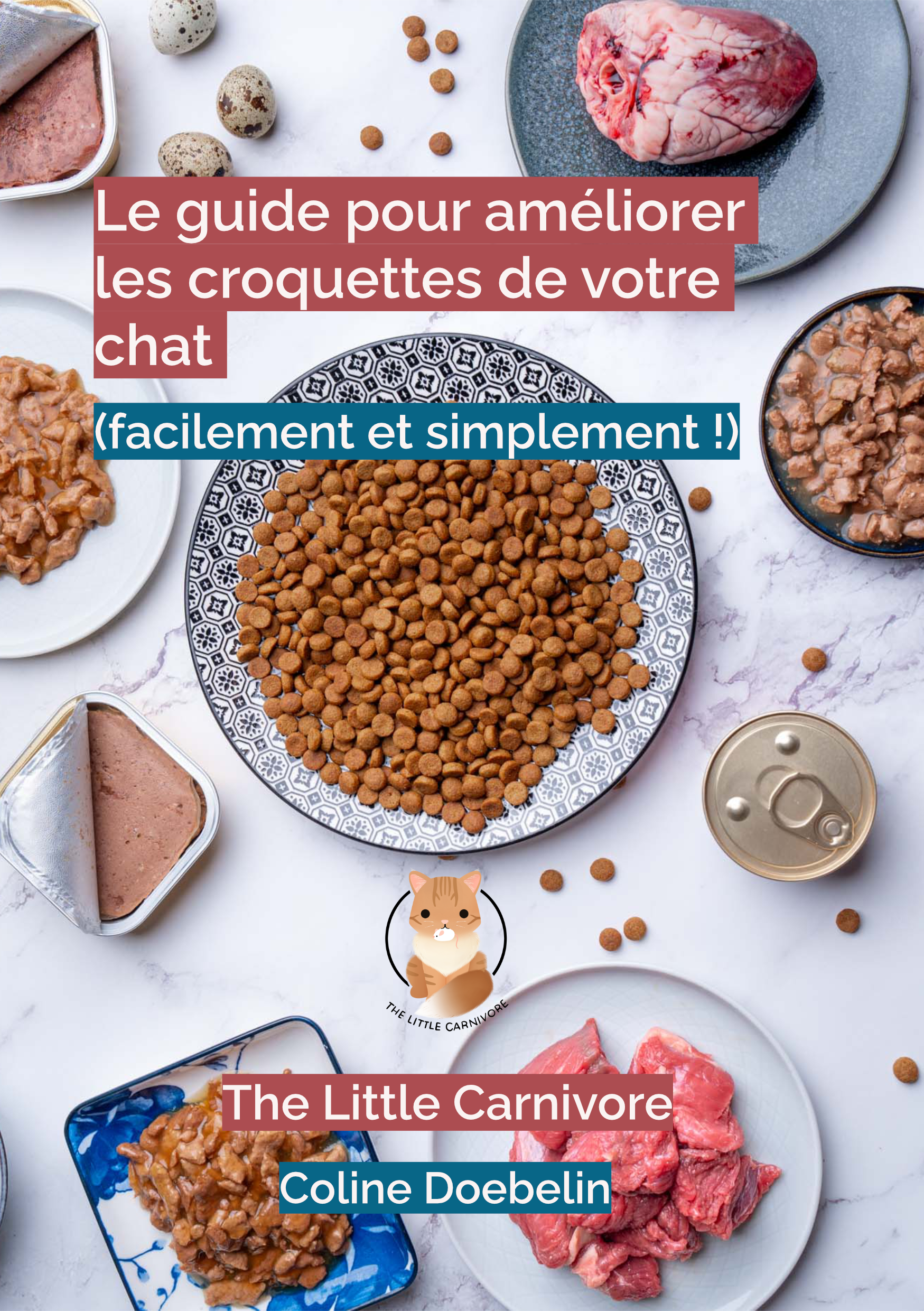 Cover ebook.png