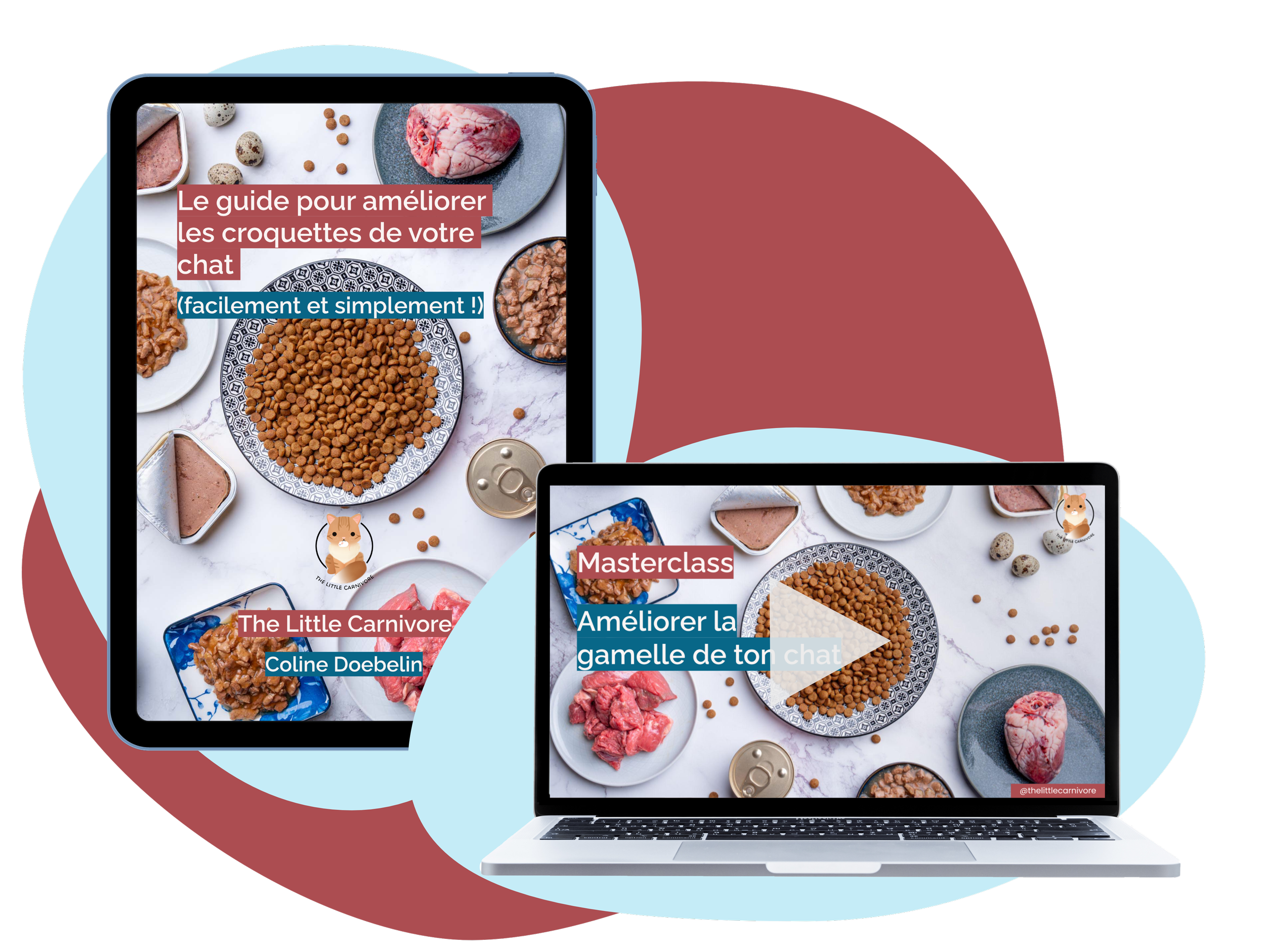 Le guide pour améliorer les croquettes de votre chat + La masterclass