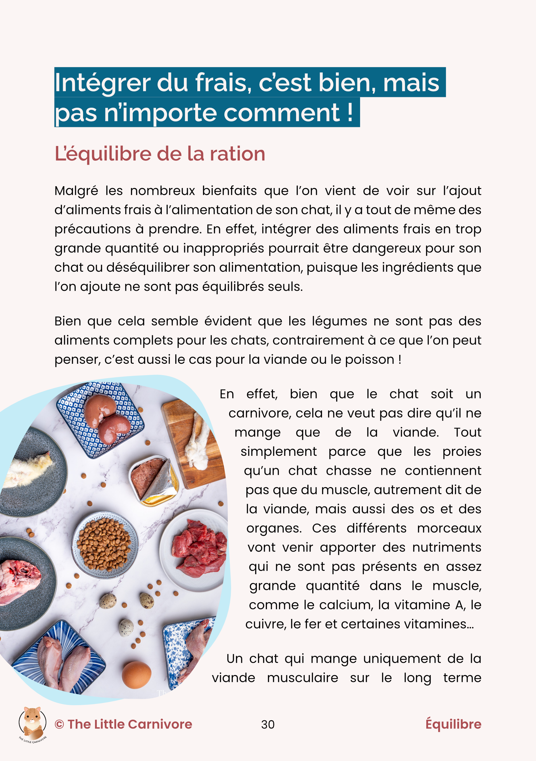 page 30 ebook.png