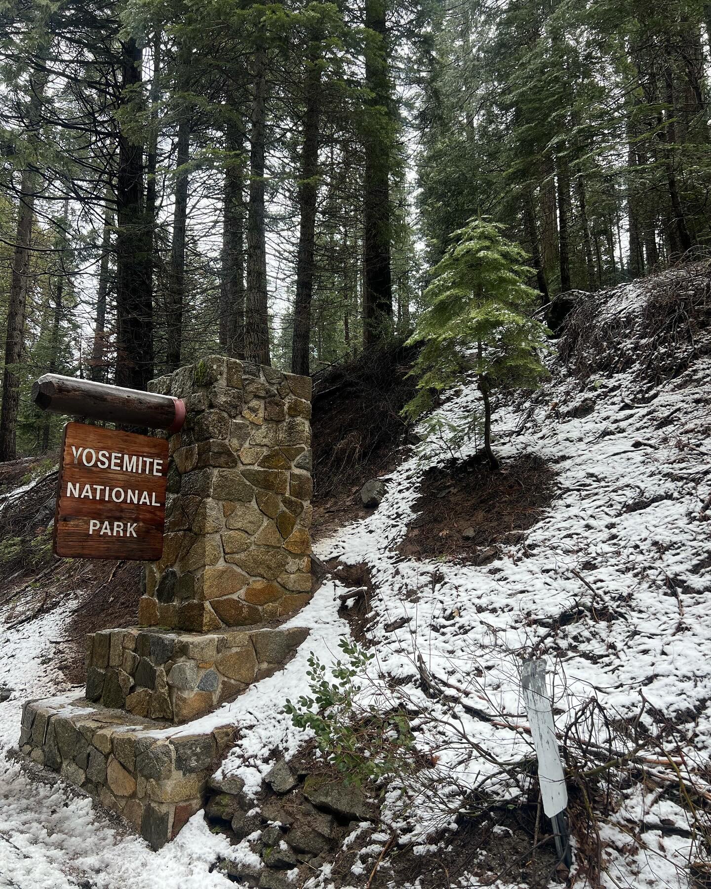 05-04-24
Vierneees🏔️🐻🌲
Hoy tengo guayabo post viaje.
Ac&aacute; una foto en un lugar impresionante, &iquest;qu&eacute; tal la BELLEZA? 
Gracias Dios por m&aacute;s paisajes lindos que me regalas.
Esto es Yosemite National Park en California, Estad