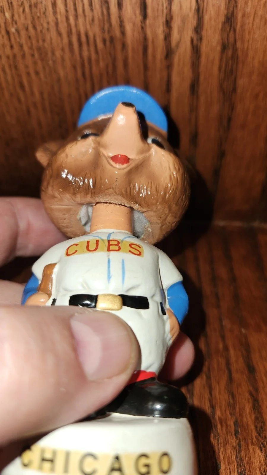 cubslb5.jpg