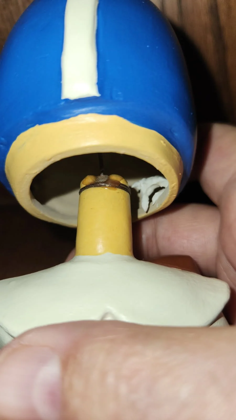 psupin6.jpg