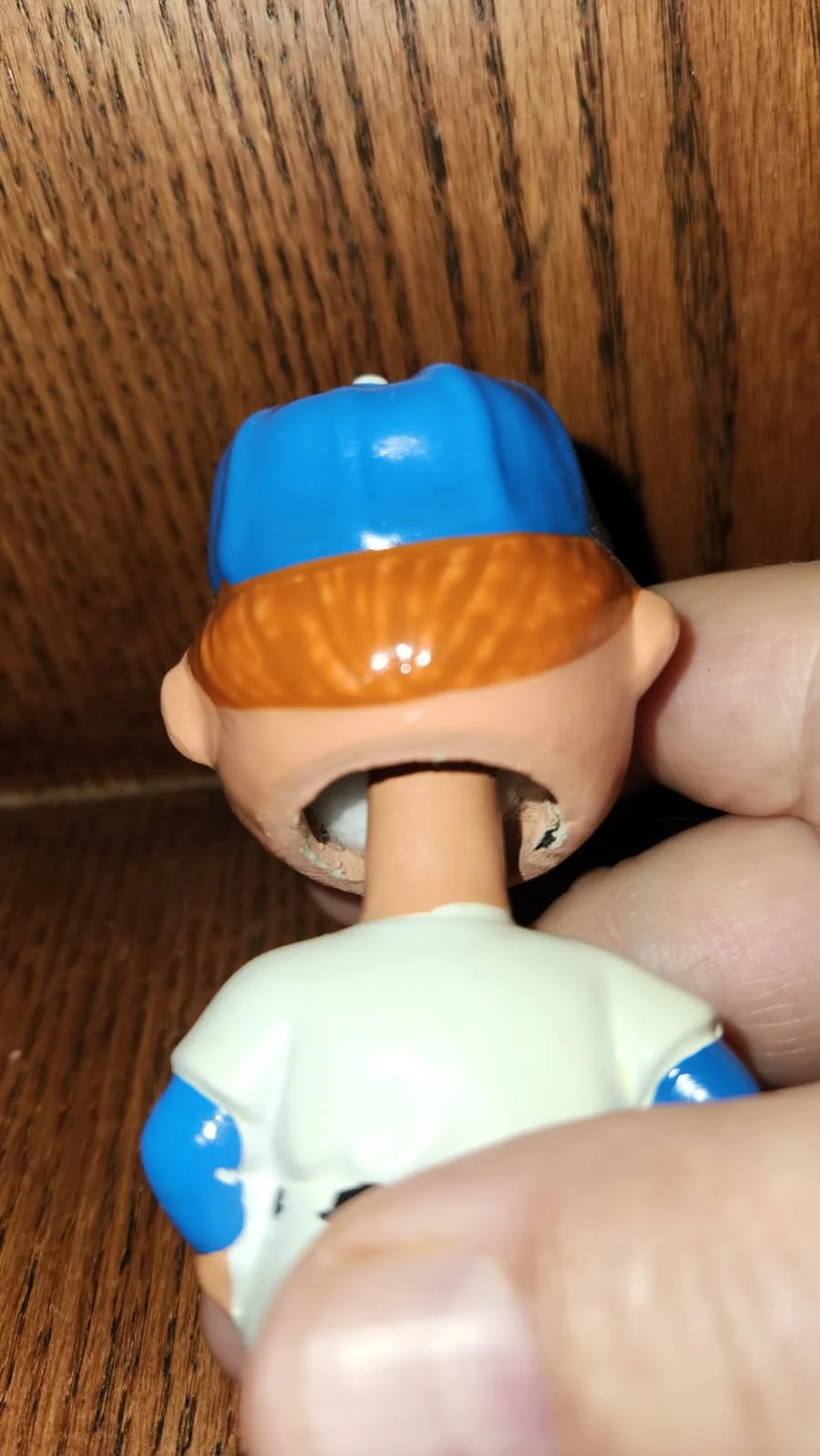 ladmini6.jpg
