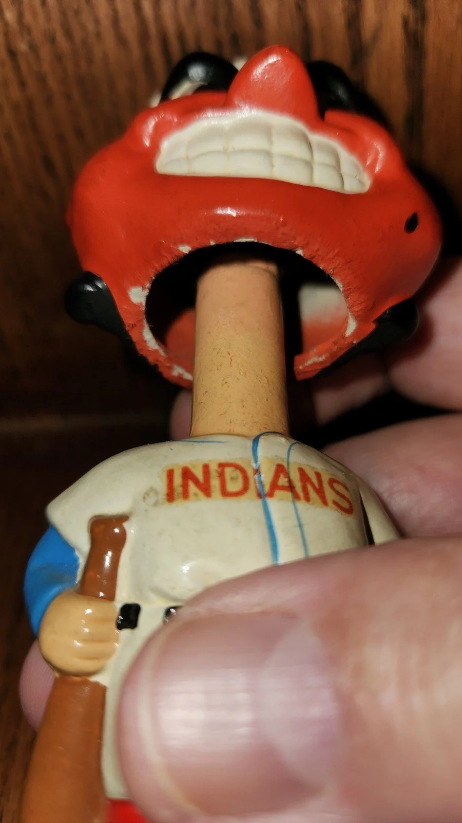 indianmini5.jpg